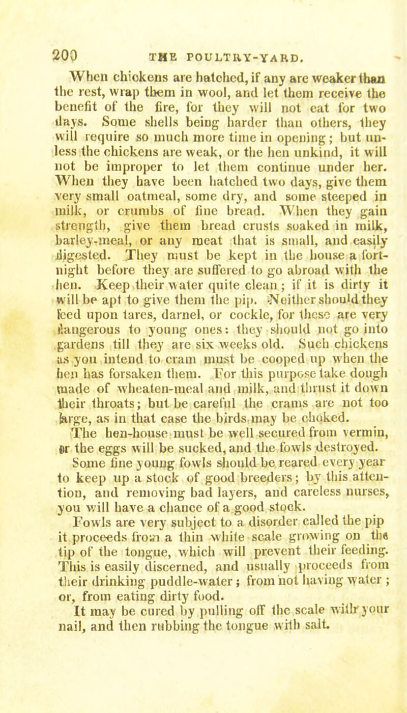When chickens are hatched, if any are weaker than the rest, wrap them in wool, and let them receive the benefit of the fire, for they will not eat for two days. Some shells being harder than others, they will require so much more time in opening ; but un- less the chickens are weak, or the hen unkind, it will not be improper to let them continue under her. When they have been hatched two days, give them very small oatmeal, some dry, and some steeped in milk, or crumbs of fine bread. When they gain strength, give them bread crusts soaked in inilk, barley-meal, or any meat that is small, and easily digested. They must be kept in the house a fort- night before they are suffered to go abroad with the hen. Keep their w ater quite cleau ; if it is dirty it will be apt to give them the pip. ‘Neither should they feed upon tares, darnel, or cockle, for these are very dangerous to young ones: they should not go into .gardens till they are six weeks old. Such chickens as you intend to cram must be cooped up when the hen has forsaken them. For this purpose take dough made of wheaten-meal and milk, and thrust it down their throats; but be careful the crams are not too large, as in that case the birds may be choked. The hen-house must be well secured from vermin, Or the eggs will be sucked, and the fowls destroyed. Some line young fowls should be reared every year to keep up a stock of good breeders; by this atten- tion, and removing bad layers, and careless nurses, you will have a chance of a good stock. Fowls are very subject to a disorder called the pip it proceeds from a thin white scale growing on the tip of the tongue, which will prevent their feeding. This is easily discerned, and usually proceeds from their drinking puddle-water; from not having w ater ; or, from eating dirty food. It may be cured by pulling oil the scale willryour nail, and then rubbing the tongue with salt.