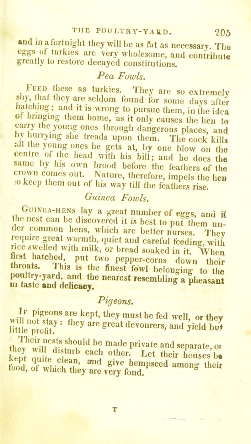 and in a fortnight they will he as fat as necessary. The eggs ol lurkies are very wholesome, and contribute greatly to restore decayed constitutions. Pea Fowls. l'EED these as turkies. They arc so extremely shy, that they arc seldom found tor some days after hatching; and it is wrong to pursue them, in the idea of bringing them home, as it only causes the hen to cany the young ones through dangerous places, and bv hurrying she treads upon them. The cock kills „ 1 .ie y°uS °,nes he at, by one blow on the centre of the head with his bill; and he does the same by Ins own brood before the leathers of the crown comes out. Nature, therefore, impels the hen 10 keep them out of his way till the feathers rise. Guinea Fowls. Guinea-hens lay a great number of eggs, and if the nest can be discovered it is best to put them un- der common hens, which are better nurses Thev require great warmth, quiet and careful feeding with lice swelled with milk, or bread soaked in it. 'when hist hatched, put two pepper-corns down their throats. 1 Ins is the finest fowl belonging to the poultry-yard and the nearest resembling a pheasant in taste and delicacy. * Pigeons. kept’they must be fed we,l> or they little pr0fi^ * 1Cy are grcat tlev°urers, and yield but the? wHf CH S fh°,Uld b? made Private and separate, or ke Jt I ?4 eaci> °Uier- Let their houses ba food of ihieii ?in’ 301(1 glVe hemPseed among their looti, ot which they arc very fond. T