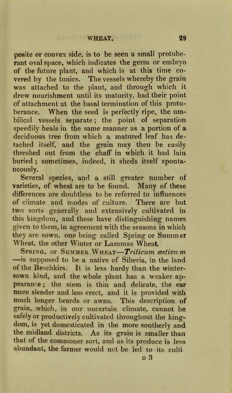 posite or convex side, is to be seen a small protube- rant oval space, which indicates the germ or embryo of the future plant, and which is at this time co- vered by the tunics. The vessels whereby the grain was attached to the plant, and through which it drew nourishment until its maturity, had their point of attachment at the basal termination of this protu- berance. When the seed is perfectly ripe, the um- bilical vessels separate; the point of separation speedily heals in the same manner as a portion of a deciduous tree from which a matured leaf has de- tached itself, and the grain may then be easily threshed out from the chaff in which it had lain buried ; sometimes, indeed, it sheds itself sponta- neously. Several species, and a still greater number of varieties, of wheat are to be found. Many of these differences are doubtless to be referred to influences of climate and modes of culture. There are but two sorts generally and extensively cultivated in this kingdom, and these have distinguishing names given to them, in agreement with the seasons in which they are sown, one being called Spring or Summer Wheat, the other Winter or Lammas Wheat Spring, or Summer Wheat—Triticum (Estivum —is supposed to be a native of Siberia, in the land of the Beschkirs. It is less hardy than the winter- sown kind, and the whole plant has a weaker ap- pearance ; the stem is thin and delicate, the ear more slender and less erect, and it is provided with much longer beards or awns. This description of grain, which, in our uncertain climate, cannot be safely or productively cultivated throughout the king- dom, is yet domesticated in the more southerly and the midland districts. As its grain is smaller than that of the commoner sort, and as its produce is less abundant, the farmer would not be led to its culti d 3