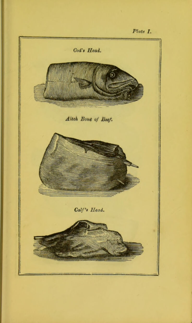 Aitok Bone of Beef.