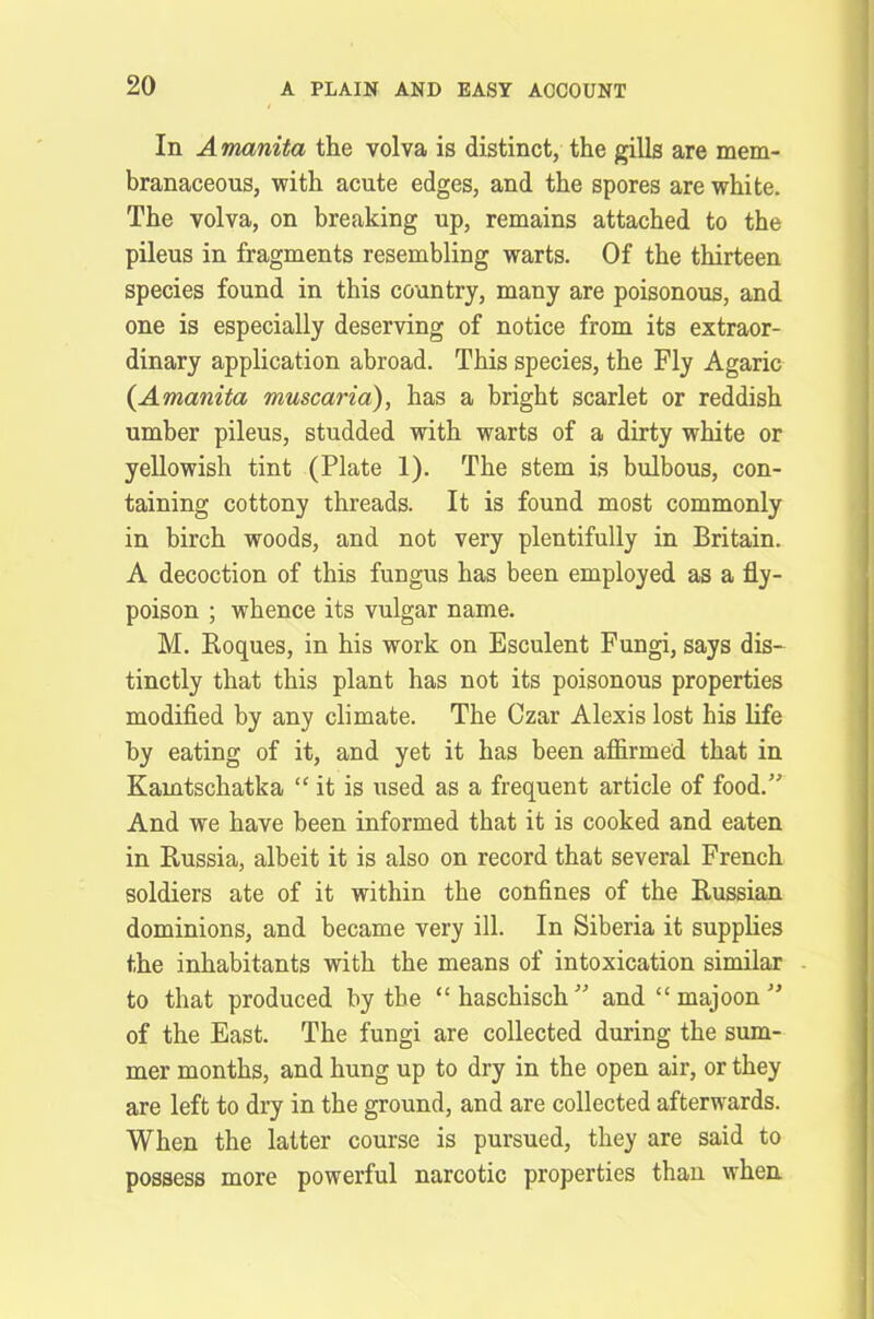In Amanita the volva is distinct, the gills are mem- branaceous, with acute edges, and the spores are white. The volva, on breaking up, remains attached to the pileus in fragments resembling warts. Of the thirteen species found in this country, many are poisonous, and one is especially deserving of notice from its extraor- dinary application abroad. This species, the Fly Agaric (Amanita muscaria), has a bright scarlet or reddish umber pileus, studded with warts of a dirty white or yellowish tint (Plate 1). The stem is bulbous, con- taining cottony threads. It is found most commonly in birch woods, and not very plentifully in Britain. A decoction of this fungus has been employed as a fly- poison ; whence its vulgar name. M. Roques, in his work on Esculent Fungi, says dis- tinctly that this plant has not its poisonous properties modified by any climate. The Czar Alexis lost his life by eating of it, and yet it has been affirmed that in Kamtschatka “ it is used as a frequent article of food.” And we have been informed that it is cooked and eaten in Russia, albeit it is also on record that several French soldiers ate of it within the confines of the Russian dominions, and became very ill. In Siberia it supplies the inhabitants with the means of intoxication similar to that produced by the “haschisch” and “ majoon ” of the East. The fungi are collected during the sum- mer months, and hung up to dry in the open air, or they are left to dry in the ground, and are collected afterwards. When the latter course is pursued, they are said to possess more powerful narcotic properties than when