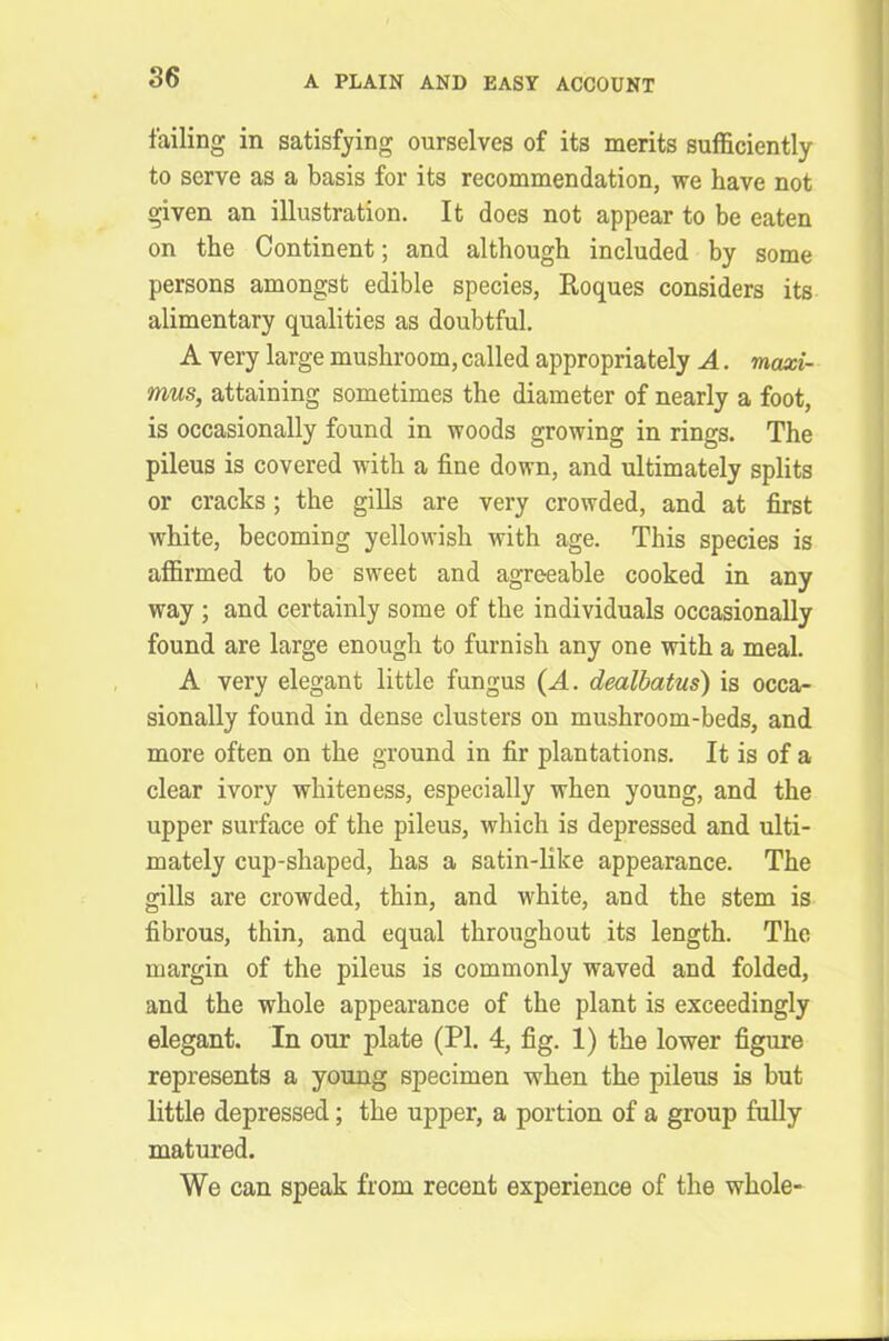 failing in satisfying ourselves of its merits sufficiently to serve as a basis for its recommendation, we have not given an illustration. It does not appear to be eaten on the Continent; and although included by some persons amongst edible species, Roques considers its alimentary qualities as doubtful. A very large mushroom, called appropriately A. maxi- mus, attaining sometimes the diameter of nearly a foot, is occasionally found in woods growing in rings. The pileus is covered with a fine down, and ultimately splits or cracks; the gills are very crowded, and at first white, becoming yellowish with age. This species is affirmed to be sweet and agreeable cooked in any way ; and certainly some of the individuals occasionally found are large enough to furnish any one with a meal. A very elegant little fungus (A. dealbatus) is occa- sionally found in dense clusters on mushroom-beds, and more often on the ground in fir plantations. It is of a clear ivory whiteness, especially when young, and the upper surface of the pileus, which is depressed and ulti- mately cup-shaped, has a satin-like appearance. The gills are crowded, thin, and white, and the stem is fibrous, thin, and equal throughout its length. The margin of the pileus is commonly waved and folded, and the whole appearance of the plant is exceedingly elegant. In our plate (PI. 4, fig. 1) the lower figure represents a young specimen when the pileus is but little depressed; the upper, a portion of a group fully matured. We can speak from recent experience of the whole-