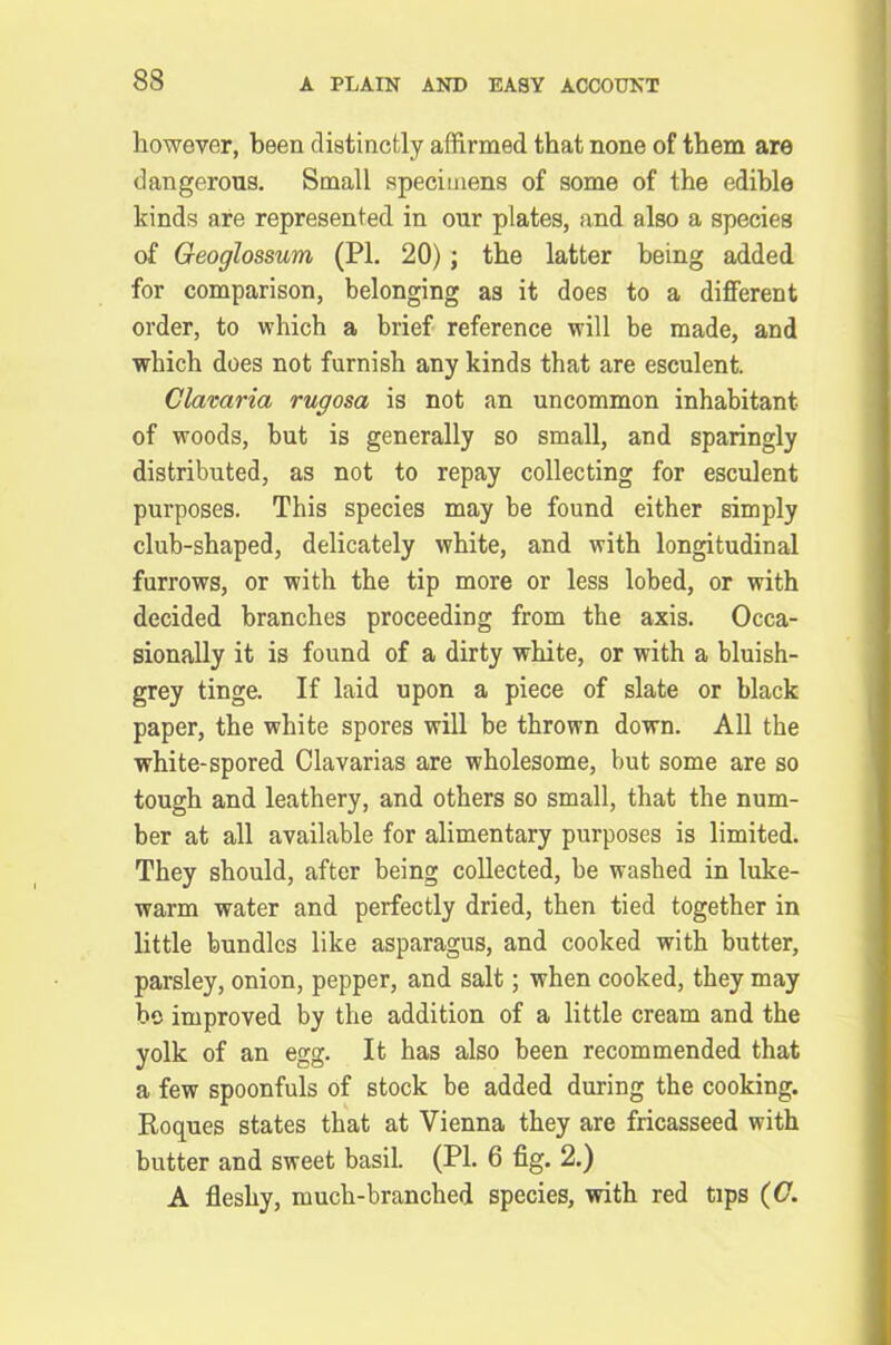 however, been distinctly affirmed that none of them are dangerous. Small specimens of some of the edible kinds are represented in our plates, and also a species of Geoglossum (PI. 20); the latter being added for comparison, belonging as it does to a different order, to which a brief reference will be made, and which does not furnish any kinds that are esculent. Clavaria rugosa is not an uncommon inhabitant of woods, but is generally so small, and sparingly distributed, as not to repay collecting for esculent purposes. This species may be found either simply club-shaped, delicately white, and with longitudinal furrows, or with the tip more or less lobed, or with decided branches proceeding from the axis. Occa- sionally it is found of a dirty white, or with a bluish- grey tinge. If laid upon a piece of slate or black paper, the white spores will be thrown down. All the white-spored Clavarias are wholesome, but some are so tough and leathery, and others so small, that the num- ber at all available for alimentary purposes is limited. They should, after being collected, be washed in luke- warm water and perfectly dried, then tied together in little bundles like asparagus, and cooked with butter, parsley, onion, pepper, and salt; when cooked, they may bo improved by the addition of a little cream and the yolk of an egg. It has also been recommended that a few spoonfuls of stock be added during the cooking. Roques states that at Vienna they are fricasseed with butter and sweet basil. (PI. 6 fig. 2.) A fleshy, much-branched species, with red tips (C.