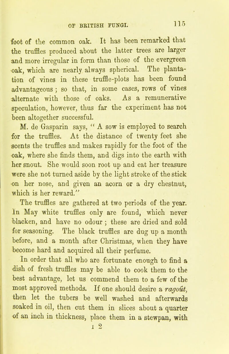 foot of the common oak. It has been remarked that the truffles produced about the latter trees are larger and more irregular in form than those of the evergreen oak, which are nearly always spherical. The planta- tion of vines in these truffle-plots has been found advantageous ; so that, in some cases, rows of vines alternate with those of oaks. As a remunerative speculation, however, thus far the experiment has not been altogether successful. M. de Gasparin says, “ A sow is employed to search for the truffles. At the distance of twenty feet she scents the truffles and makes rapidly for the foot of the oak, where she finds them, and digs into the earth with her snout. She would soon root up and eat her treasure were she not turned aside by the light stroke of the stick on her nose, and given an acorn or a dry chestnut, which is her reward.” The truffles are gathered at two periods of the year. In May white truffles only are found, which never blacken, and have no odour ; these are dried and sold for seasoning. The black truffles are dug up a month before, and a month after Christmas, when they have become hard and acquired all their perfume. In order that all who are fortunate enough to find a dish of fresh truffles may be able to cook them to the best advantage, let us commend them to a few of the most approved methods. If one should desire a ragout, then let the tubers be well washed and afterwards soaked in oil, then cut them in slices about a quarter of an inch in thickness, place them in a stewpan, with i 2
