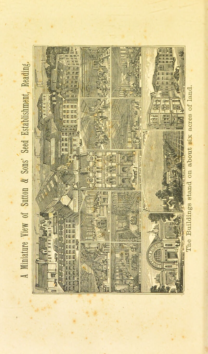 A Miniature View of Sutton & Sons’ Seed EstaWishment, Reading. The Buildings stand on about six acres of land.