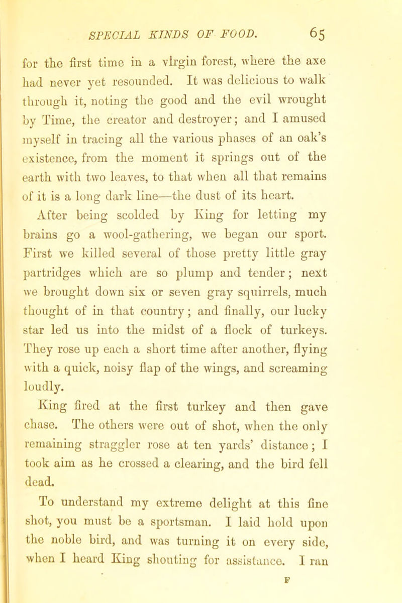 for the first time in a virgin forest, where the axe had never yet resounded. It was delicious to walk through it, noting the good and the evil wrought hy Time, the creator and destroyer ; and I amused myself in tracing all the various phases of an oak’s existence, from the moment it springs out of the earth with two leaves, to that when all that remains of it is a long dark line—the dust of its heart. After being scolded by King for letting my brains go a wool-gathering, we began our sport. First we killed several of those pretty little gray partridges which are so plump and tender ; next we brought down six or seven gray squirrels, much thought of in that country ; and finally, our lucky star led us into the midst of a flock of turkeys. They rose up each a short time after another, flying with a quick, noisy flap of the wings, and screaming loudly. King fired at the first turkey and then gave chase. The others were out of shot, when the only remaining straggler rose at ten yards’ distance ; 1 took aim as he crossed a clearing, and the bird fell dead. To understand my extreme delight at this fine shot, you must bo a sportsman. I laid hold upon the noble bird, and was turning it on every side, when I heard King shouting for assistance. I ran