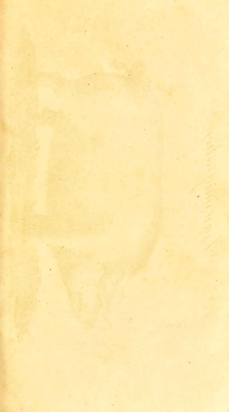 I , ' t ■V ‘ i %■ ■C.-. a • 1,.; , ‘p. i '■ »e>i >..,, > . .» /• y y y'