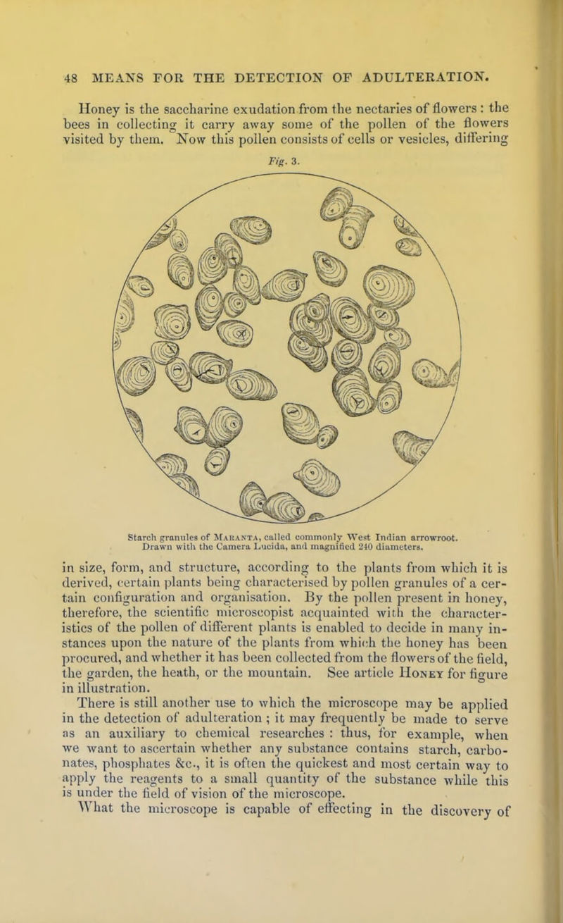 Honey is the saccharine exudation from the nectaries of flowers : the bees in collecting it carry away some of the pollen of the flowers visited by them. Now this pollen consists of cells or vesicles, differing Fig. 3. Starch granules of Makanta, called commonly West Indian arrowroot. Drawn with the Camera Lucida, and magnified 240 diameters. in size, form, and structure, according to the plants from which it is derived, certain plants being characterised by pollen granules of a cer- tain configuration and organisation. By the pollen present in honey, therefore, the scientific microscopist acquainted with the character- istics of the pollen of different plants is enabled to decide in many in- stances upon the nature of the plants from which the honey has been procured, and whether it has been collected from the flowers of the field, the garden, the heath, or the mountain. See article Honey for figure in illustration. There is still another use to which the microscope may be applied in the detection of adulteration ; it may frequently be made to serve as an auxiliary to chemical researches : thus, for example, when we want to ascertain whether any substance contains starch, carbo- nates, phosphates &c., it is often the quickest and most certain way to apply the reagents to a small quantity of the substance while this is under the field of vision of the microscope. What the microscope is capable of effecting in the discovery of