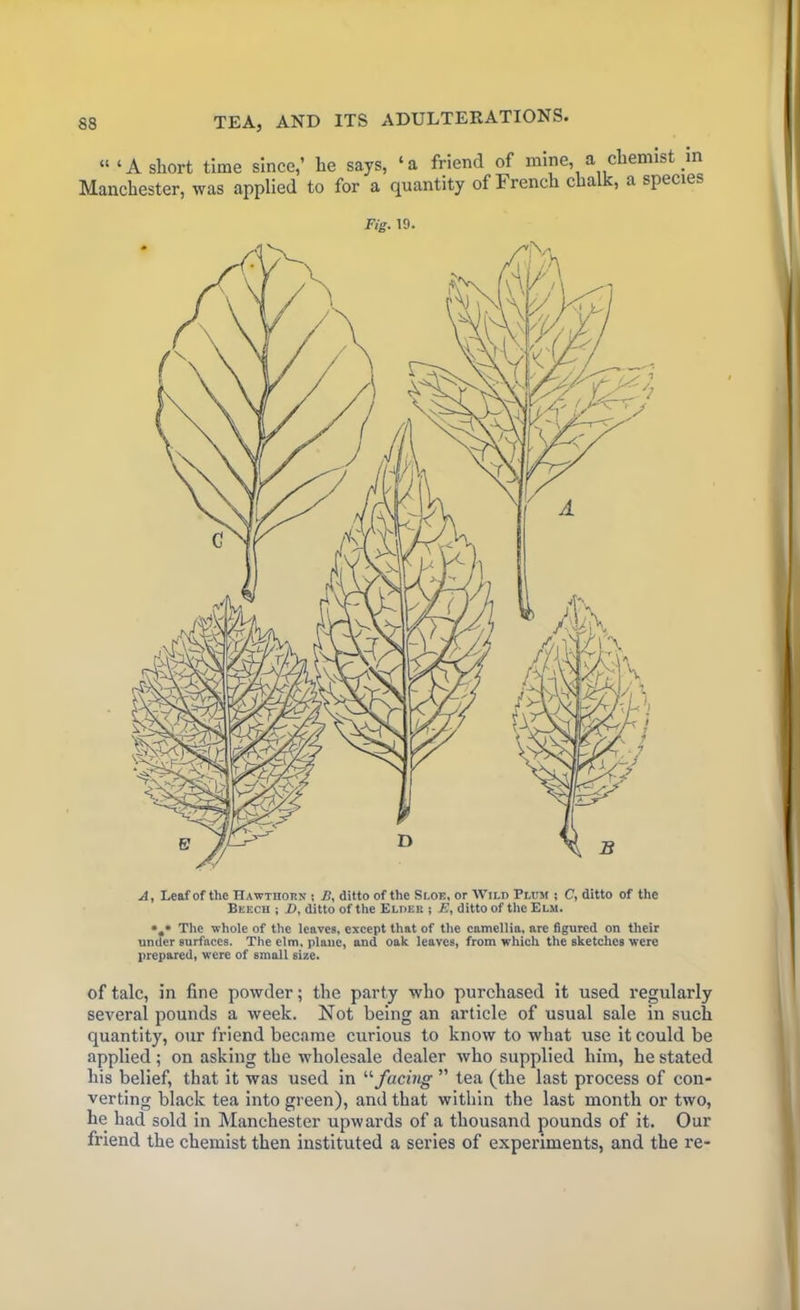 “‘A short time since,’ he says, ‘a friend of mine, a chemist m Manchester, was applied to for a quantity of French cha , a species Fig. 19. A, Leaf of the Hawthorn ; 71, ditto of the Sloe, or Wild Plum ; C, ditto of the Beech ; D, ditto of the Elder i E, ditto of the Elm. *,• The whole of the leaves, except that of the camellia, are figured on their under surfaces. The elm, plane, and oak leaves, from which the sketches were prepared, were of small size. of talc, in fine powder; the party who purchased it used regularly several pounds a week. Not being an article of usual sale in such quantity, our friend became curious to know to what use it could be applied; on asking the wholesale dealer who supplied him, he stated his belief, that it was used in “ facing ” tea (the last process of con- verting black tea into green), and that within the last month or two, he had sold in Manchester upwards of a thousand pounds of it. Our friend the chemist then instituted a series of experiments, and the re-