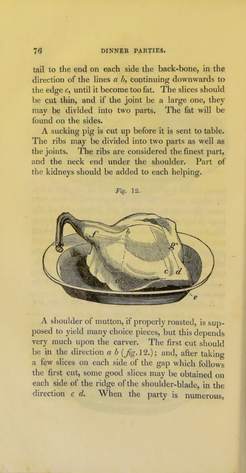 tail to the end on each side the back-bone, in the direction of the lines a Z>, continuing downwards to the edge c, until it become too fat. The slices should be cut thin, and if the joint be a large one, they may be divided into two parts. The fat will be found on the sides. A sucking pig is cut up before it is sent to table. The ribs may be divided into two parts as well as the joints. The ribs are considered the finest part, and the neck end under the shoulder. Part of the kidneys should be added to each helping. Fig. 12. A shoulder of mutton, if properly roasted, is sup- posed to yield many choice pieces, but this depends very much upon the carver. The first cut should be in the direction a b {jig. 12.); and, after taking a few slices on each side of the gap which follows the first cut, some good slices may be obtained on each side of the ridge of the shoulder-blade, in the direction c d. When the party is numerous,