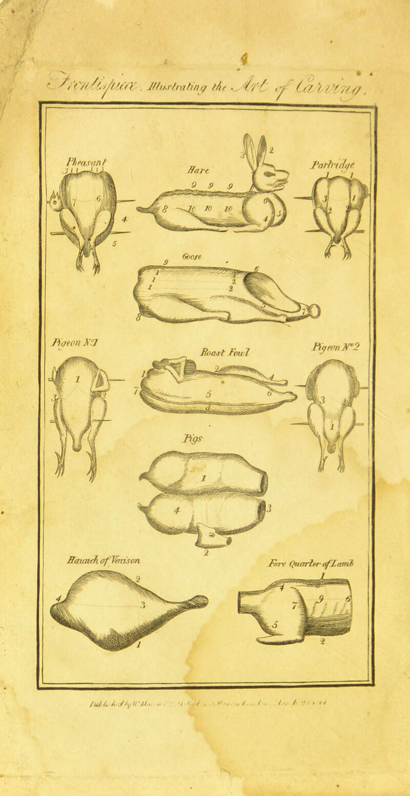 4 Pleasant Goose Flaetm X7 Pigeon IT2 Boast Foul Raunrh ofVmison Fore Quarter ofFamb f/r'itSij 'fieri lUuj'tra.tinijt lAe . // '/ y /// } re,,,/ JiU/io II ’At / /> . V '«, / . fleet .tit 1 / / - / / •/ •