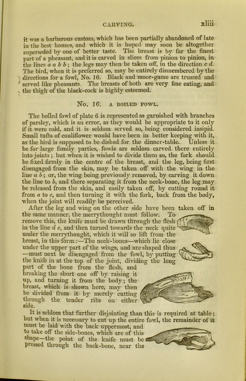 it was a barbarous custom, which has been partially abandoned of late in the best houses, and which it is hoped may soon be altogether superseded by one of better taste. The breast is by far the finest part of a pheasant, and it is carved in slices from pinion to pinion, in the lines a a b b ; the legs may then be taken off, in the direction c d. The bird, when it is preferred so, may be entirely dismembered by the directions for a fowl. No. 16. Black and moor-game are trussed and ’ served like pheasants. The breasts of both are very fine eating, and , the thigh of the black-cock is highly esteemed. No. 16. A BOILED FOWL. The boiled fowl of plate 6 is represented as garnished with branches of parsley, which is an error, as they would be appropriate to it only if it were cold, and it is seldom served so, being considered insipid. Small tufts of cauliflower would have been in better keeping with it, as the bird is supposed to be dished for the dinner-table. Unless it be for large family parties, fowls are seldom carved there entirely into joints ; but when it is wished to divide them so, the fork should be fixed firmly in the centre of the breast, and the leg, being first disengaged from the skin, may be taken off with the wing in the line ab\ or, the wing being previously removed, by carving it down the line to &, and there separating it from the neck-bone, the leg may be released from the skin, and easily taken off, by cutting round it from a to c, and then turning it with the fork, back from the body, when the joint will readily be perceived. After the leg and wing on the other side have been taken off in the same manner, the merrythought must follow. To remove this, the knife must be drawn through the flesh in the line d e, and then turned towards the neck quite under the merrythought, which it will so lift from the breast, in this form :—The neck-bones—which lie close under the upper part of the wings, and are shaped thus —must next be disengaged from the fowl, b}' putting the knife in at the top of the joint, dividing the long part of the bone from the flesh, and breaking the short one off by raising it up, and turning it from the body; the breast, which is shown here, may then be divided from it by merely cutting through the tender ribs on either side. It is seldom that further disjointing than this is required at table; but when it is necessary to cut up the entire fowl, the remainder of it must be laid with the back uppermost, and to take off the side-bones, which are of this shape—the point of the knife must be pressed through the back-bone, near the