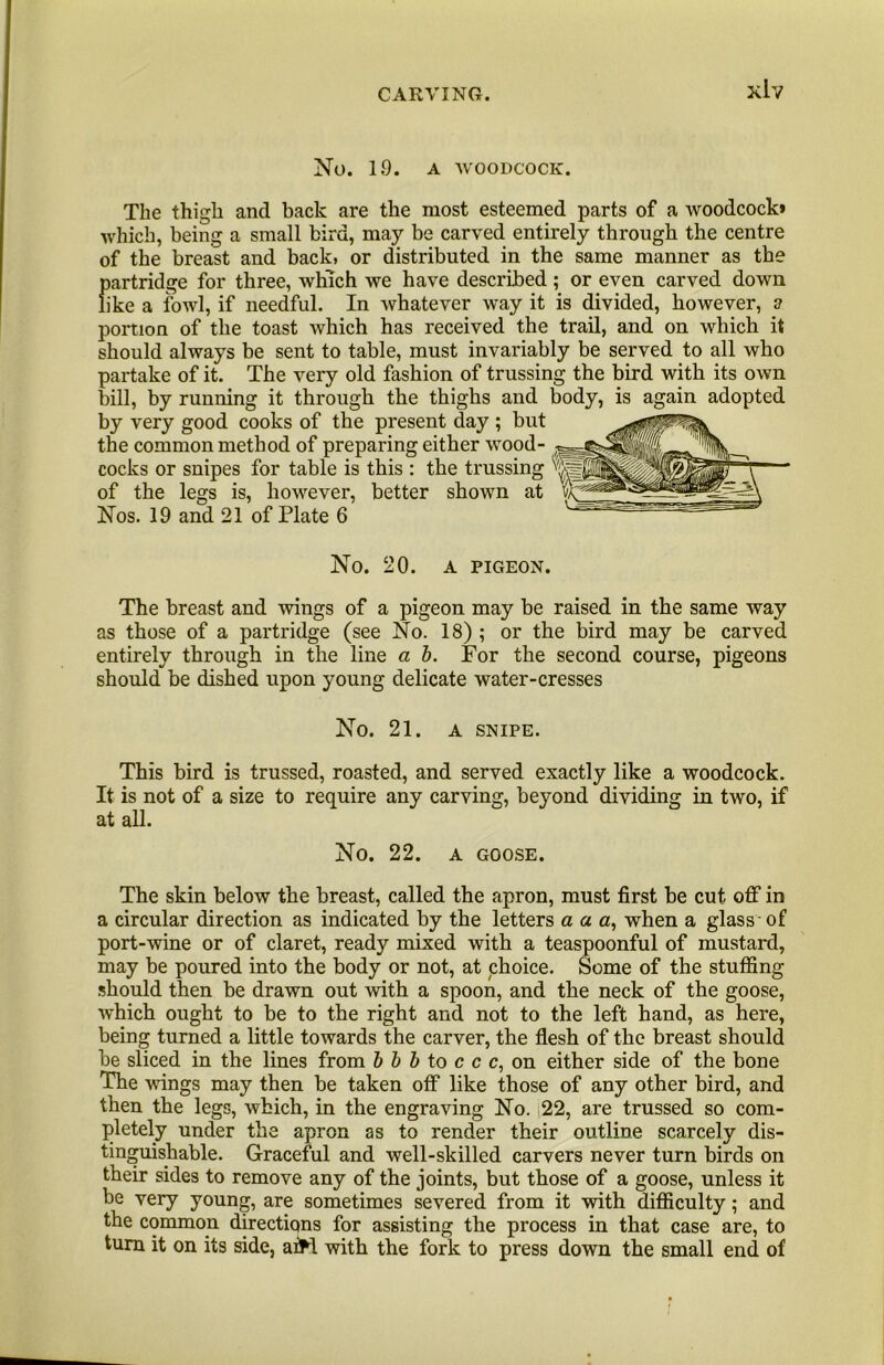 No. 19. A WOODCOCK. The thigh and back are the most esteemed parts of a woodcock* which, being a small bird, may be carved entirely through the centre of the breast and back, or distributed in the same manner as the partridge for three, which we have described; or even carved down like a fowl, if needful. In whatever way it is divided, however, a portion of the toast which has received the trail, and on which it should always be sent to table, must invariably be served to all who partake of it. The very old fashion of trussing the bird with its own bill, by running it through the thighs and body, is again adopted by very good cooks of the present day ; but the common method of preparing either wood- cocks or snipes for table is this ; the trussing of the legs is, however, better shown at ^ Nos. 19 and 21 of Plate 6 No. 20. A PIGEON. The breast and wings of a pigeon may be raised in the same way as those of a partridge (see No. 18) ; or the bird may be carved entirely through in the line a h. For the second course, pigeons should be dished upon young delicate water-cresses No. 21. A SNIPE. This bird is trussed, roasted, and served exactly like a woodcock. It is not of a size to require any carving, beyond dividing in two, if at all. No. 22. A GOOSE. The skin below the breast, called the apron, must first be cut oflf in a circular direction as indicated by the letters a a a, when a glass'of port-wine or of claret, ready mixed with a teaspoonful of mustard, may be poured into the body or not, at phoice. Some of the stuffing should then be drawn out with a spoon, and the neck of the goose, which ought to be to the right and not to the left hand, as here, being turned a little towards the carver, the flesh of the breast should be sliced in the lines from h h h to c c on either side of the bone The wings may then be taken off like those of any other bird, and then the legs, which, in the engraving No. i22, are trussed so com- pletely under the apron as to render their outline scarcely dis- tinguishable. Graceful and well-skilled carvers never turn birds on their sides to remove any of the joints, but those of a goose, unless it be very young, are sometimes severed from it with difficulty; and the common directions for assisting the process in that case are, to turn it on its side, afM with the fork to press down the small end of