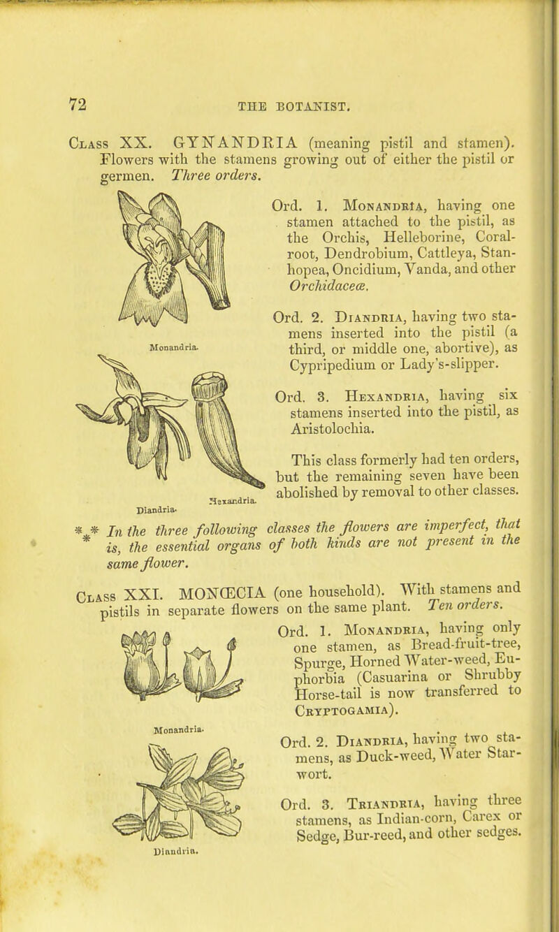 Class XX. GYNANDRIA (meaning pistil and stamen). Flowers with the stamens growing out of either the pistil or gerrnen. Three orders. Monandria. Ord. 1. Monandria, having one stamen attached to the pistil, as the Orchis, Helleborine, Coral- root, Dendrobium, Cattleya, Stan- liopea, Oncidium, Vanda, and other Orchidacece, Ord. 2. Diandria, having two sta- mens inserted into the pistil (a third, or middle one, abortive), as Cypripedium or Lady’s-slipper. Ord. 3. Hexandria, having six stamens inserted into the pistil, as Aristolocliia. This class formerly had ten orders, but the remaining seven have been abolished by removal to other classes. * * In the three following classes the flowers are imperfect, that * is, the essential organs of both hinds are not present in the same flower. Class XXI. MOISTCECIA (one household). With stamens and pistils in separate flowers on the same plant. Ten orders. Ord. 1. Monandria, having only one stamen, as Bread-fruit-tree, Spurge, Horned Water-weed, Eu- phorbia (Casuarina or Shrubby Horse-tail is now transferred to Cryptogamia). Ord. 2. Diandria, having two sta- mens, as Duck-weed, V ater Star- wort. Ord. 3. Triandria, having three stamens, as Indian-corn, Carex or Sedge, Bur-reed, and other sedges. Diandria.