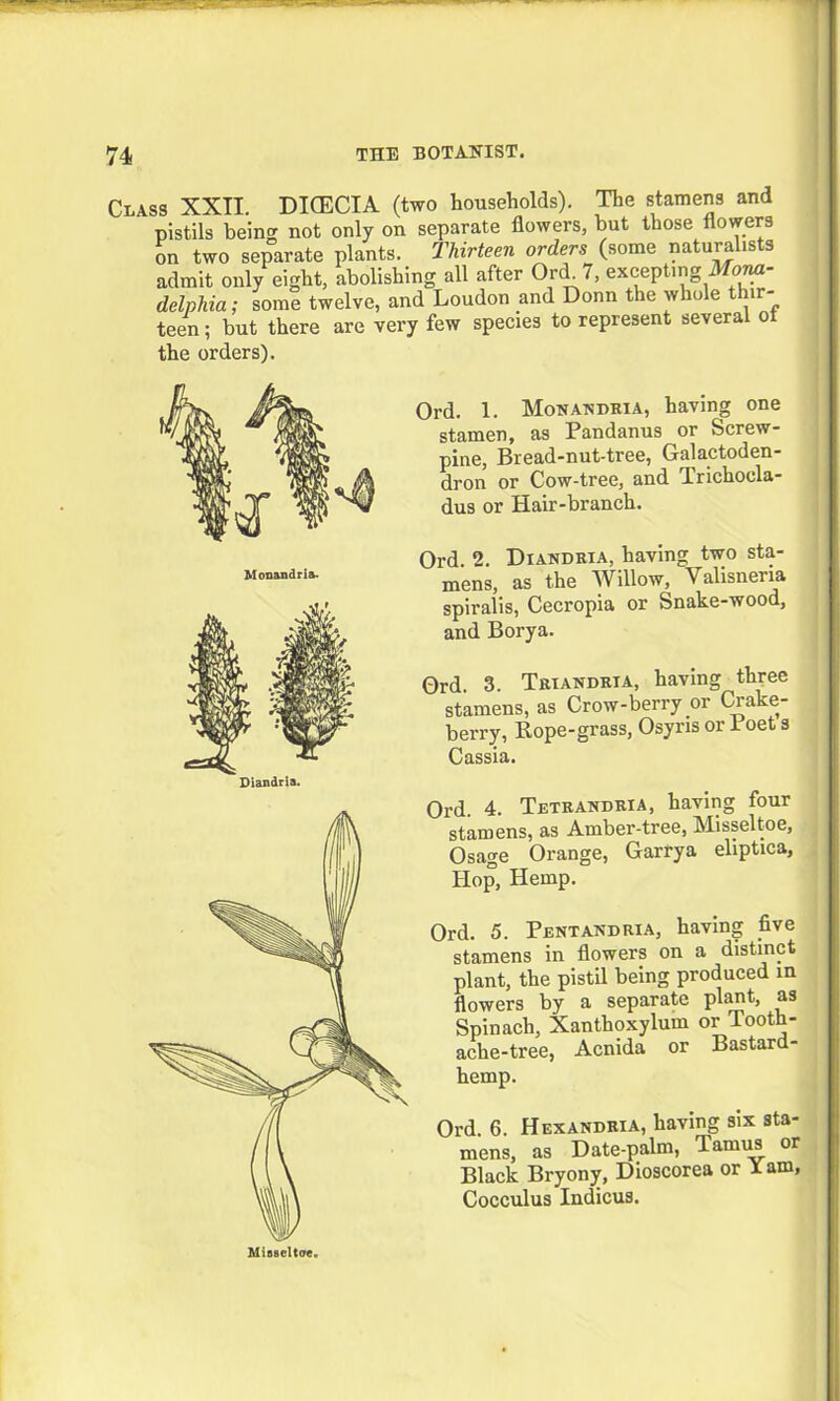 Class XXII. DICECIA (two households). The stamens and pistils being not only on separate flowers, but those flowers on two separate plants. Thirteen orders (some naturalists admit only eight, abolishing all after Ord. 7, excepting Mona- delphia; some twelve, and Loudon and Donn the whole thir- teen ; but there are very few species to represent several ot the orders). Diandria. Ord. 1. Mon anuria, having one stamen, as Pandanus or Screw- pine, Bread-nut-tree, Galactoden- dron or Cow-tree, and Trichocla- dus or Hair-branch. Ord 2. Diandria, having two sta- mens, as the Willow, Valisneria spiralis, Cecropia or Snake-wood, and Borya. Ord. 3. Triandria, having three stamens, as Crow-berry or Crake- berry, Rope-grass, Osyris or Poet s Cassia. Ord. 4. Tetrandria, having four stamens, as Amber-tree, Misseltoe, Osage Orange, Garrya eliptica. Hop, Hemp. Ord. 5. Pentandria, having five stamens in flowers on a distinct plant, the pistil being produced in flowers by a separate plant, as Spinach, Xanthoxylum or Tooth- ache-tree, Acnida or Bastard- hemp. Ord. 6. Hexandria, having six sta- mens, as Date-palm, Tamus or Black Bryony, Dioscorea or I am, Cocculus Indicus.