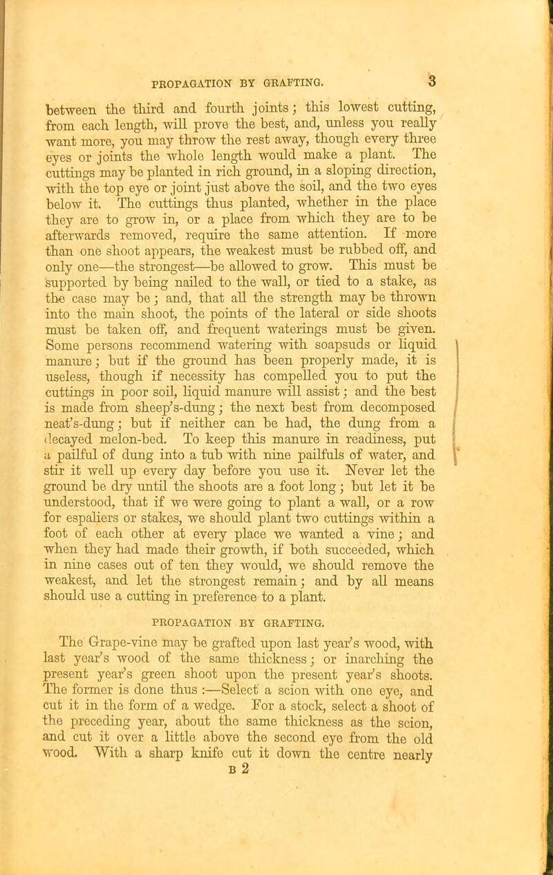 between the third and fourth joints; this lowest cutting, from each length, will prove the best, and, unless you really want more, you may throw the rest away, though every three eyes or joints the whole length would make a plant. The cuttings may he planted in rich ground, in a sloping direction, with the top eye or joint just above the soil, and the two eyes below it. The cuttings thus planted, whether in the place they are to grow in, or a place from which they are to be afterwards removed, require the same attention. If more than one shoot appears, the weakest must be rubbed off, and only one—the strongest—be allowed to grow. This must be supported by being nailed to the wall, or tied to a stake, as the case may be; and, that all the strength may be thrown into the main shoot, the points of the lateral or side shoots must be taken oif, and frequent waterings must be given. Some persons recommend watering with soapsuds or liquid manure; but if the ground has been properly made, it is useless, though if necessity has compelled you to put the cuttings in poor soil, liquid manure will assist; and the best is made from sheep’s-dung; the next best from decomposed neat’s-dung; but if neither can be had, the dung from a decayed melon-bed. To keep this manure in readiness, put a pailful of dung into a tub with nine pailfuls of water, and stir it well up every day before you use it. Never let the ground be dry until the shoots are a foot long; but let it be understood, that if we were going to plant a wall, or a row for espaliers or stakes, we should plant two cuttings within a foot of each other at every place we wanted a vine; and when they had made their growth, if both succeeded, which in nine cases out of ten they would, we should remove the weakest, and let the strongest remain; and by all means should use a cutting in preference to a plant. PROPAGATION BY GRAFTING. The Grape-vine may be grafted upon last year’s wood, with last year’s wood of the same thickness; or inarching the present year’s green shoot upon the present year’s shoots. The former is done thus :—Select a scion with one eye, and cut it in the form of a wedge. For a stock, select a shoot of the preceding year, about the same thickness as the scion, and cut it over a little above the second eye from the old wood. With a sharp knife cut it down the centre nearly B 2