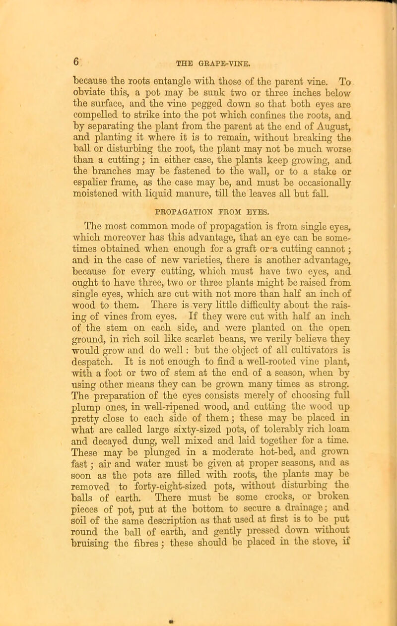 because the roots entangle with, those of the parent vine. To obviate this, a pot may be sunk two or three inches below the surface, and the vine pegged down so that both eyes are compelled to strike into the pot which confines the roots, and by separating the plant from the parent at the end of August, and planting it where it is to remain, without breaking the ball or disturbing the root, the plant may not be much worse than a cutting; in either case, the plants keep growing, and the branches may be fastened to the wall, or to a stake or espalier frame, as the case may be, and must be occasionally moistened with liquid manure, till the leaves all but falL PROPAGATION FROM EYES. The most common mode of propagation is from single eyes, which moreover has this advantage, that an eye can be some- times obtained when enough for a graft or-a cutting cannot; and in the case of new varieties, there is another advantage, because for every cutting, which must have two eyes, and ought to have three, two or three plants might be raised from single eyes, which are cut with not more than half an inch of wood to them. There is very little difficulty about the rais- ing of vines from eyes. If they were cut with half an inch of the stem on each side, and were planted on the open ground, in rich soil like scarlet beans, we verily believe they would grow and do well : but the object of all cultivators is despatch. It is not enough to find a well-rooted vine plant, with a foot or two of stem at the end of a season, when by using other means they can be grown many times as strong. The preparation of the eyes consists merely of choosing full plump ones, in well-ripened wood, and cutting the wood up pretty close to each side of them ; these may be placed in what are called large sixty-sized pots, of tolerably rich loam and decayed dung, well mixed and laid together for a time. These may be plunged in a moderate hot-bed, and grown fast; air and water must be given at proper seasons, and as soon as the pots are filled with roots, the plants may be removed to forty-eight-sized pots, without disturbing the balls of earth. There must be some crocks, or broken pieces of pot, put at the bottom to secure a drainage; and soil of the same description as that used at first is to be put round the ball of earth, and gently pressed down without bruising the fibres: these should be placed in the stove, if