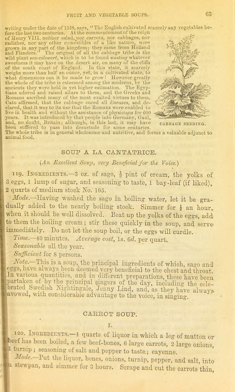 writing under the date of 1518, says, “ The English cultivated scarcely auy vegetables be- fore the last two centuries. At the commencement of the reign of Henry VIII. neither salad, jior carrots, nor cabbages, nor radishes, nor any other comestibles of a like nature, were grown in any part of the kingdom; they came from Holland and Flanders.” The original of all the cabbage tribe is the wild plant sca-colewort, which is to be found wasting whatever sweetness it may have on the desert air, on many of the cliffs of the south coast of England. In this state, it scarcely weighs more than half an ounce, yet, in a cultivated state, to what dimensions can it be made to grow! However greatly the whole of the tribe is esteemed among the moderns, by the ancients they were held in yet higher estimation. The Egyp- tians adored and raised altars to them, and the Greeks and Homans ascribed many of the most exalted virtues to them. Cato affirmed, that the cabbage cured all diseases, and de- clared, that it was to its use that the Romans were enabled to live in health and without the assistance of physicians for 600 years. It was introduced by that people into Germany, Gaul, and, no doubt, Britain; although, in this last, it may have been suffered to pass into desuetude for some centuries. The whole tribe is in general wholesome and nutritive, and forms a valuable adjunct to animal food. CABBAGE SEEDING. SOUP A LA CAUTATRICE. (An Excellent Soup, very Beneficial for the Voice.) 119. Ingredients.—3 oz. of sago, | pint of cream, the yolts of 3 eggs, 1 lump of sugar, and seasoning to taste, 1 bay-leaf (if liked), 2 quarts of medium stock No. 105. Mode.—Having washed the sago in boiling water, let it be gra- J dually added to the nearly boiling stock. Simmer for £ an hour, I when it should be well dissolved. Beat up the yolks of the eggs, add l to them the boiling cream; stir these quickly in the soup, and serve' 1 immediately. Do not let the soup boil, or the eggs will curdle. Time—40 minutes. Average cost, Is. G d. per quart. Seasonable all the year. Sufficient for 8 persons. Note. This is a soup, the principal ingredients of which, sago and I eggs, have always been deemed very beneficial to the chest and throat. I In vaiious quantities, and in different preparations, these have been partaken ol by the principal gingers of the day, including the cele- brated Swedish Nightingale, Jenny Lind, and, as they have always avowed, v ith. considerable advantage to the voice, in singing*. CABBOT SOUP. 120. Ingredients.—4 quarts of liquor in which a leg of mutton or ee^ ^ias ^een foiled, a lew beef-bones, 6 large carrots, 2 large onions, turnip ; seasoning of salt and pepper to taste ; cayenne. Mode, l’ut the liquor, bones, onions, turnip, pepper, and salt, into stewpan, and simmer for 3 hours. Scrape and cut the carrots thin,
