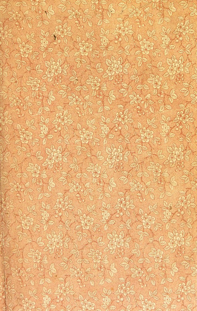 digitised image 3