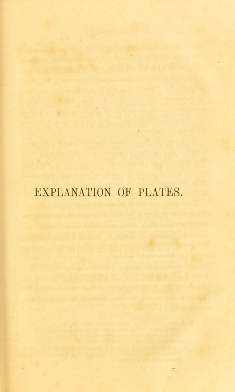 EXPLANATION OF PLATES.