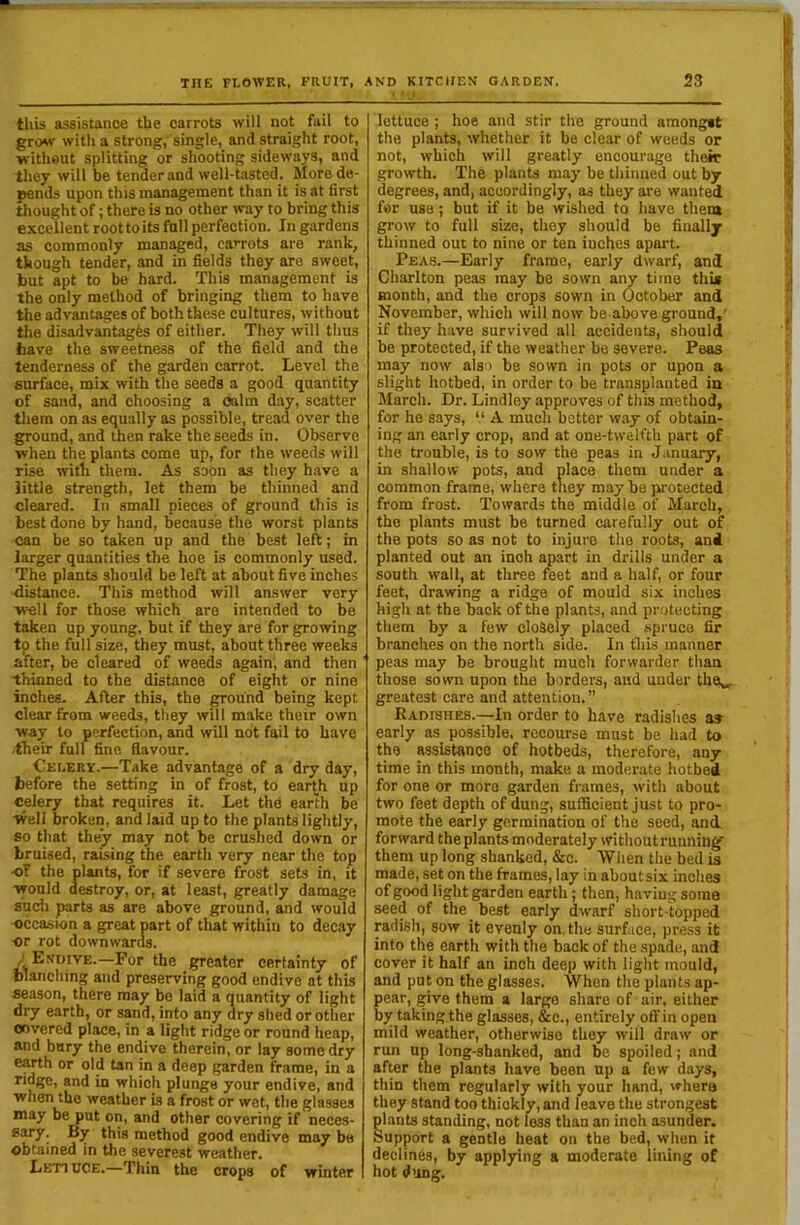 this assistance the carrots will not fail to groAv with a strong, single, and straight root, without splitting or shooting sideways, and they will be tender and well-tasted. More de- pends upon this management than it is at first tliought of; there is no other way to bring this excellent roottoits full perfection. In gardens as commonly managed, ca’Tots are rank, though tender, and in fields they are sweet, but apt to be hard. This management is the only method of bringing them to have the advantages of both the.se cultures, without the disadvantages of either. They will thus have the sweetness of the field and the tenderness of the garden carrot. Level the surface, mix with the seeds a good quantity of sand, and choosing a calm day, scatter them on as equally as possible, tread over the ground, and then rake the seeds in. Observe when the plants come up, for the weeds will rise with them. As soon as they h.ave a little strength, let them be thinned and cleared. In small pieces of ground this is best done by hand, because the worst plants can be so taken up and the best left; in larger quantities the hoe is commonly used. The plants should be left at about five inches -distance. This method will answer very well for those which are intended to be taken up young, but if they are for growing tp the full size, they must, about three weeks after, be cleared of weeds again; and then thinned to the distance of eight or nine inches. After this, the ground being kept clear from weeds, they will make their own way to perfection, and will not fail to have .their full fine flavour. Celery.—Take advantage of a dry day, before the setting in of frost, to earth up celery that requires it. Let the earth be Well broken, and laid up to the plants lightly, so that they may not be crushed down or bruised, raising the earth very near the top -of the plants, for if severe frost sets in, it would destroy, or, at least, greatly damage s’ucii parts as are above ground, and would occasion a great part of that within to decay ■or rot downwards. ; Endive.—For the greater certainty of blanching and preserving good endive at this season, there may be laid a quantity of light dry earth, or sand, into any dry shed or other covered place, in a light ridge or round heap, and bury the endive therein, or lay some dry e^th or old tan in a deep garden frame, in a ridge, and in which plunge your endive, and when the weather is a frost or wet, the glasses may be put on, and other covering if neces- sary. By this method good endive may be obtained in the severest weather. Lettuce.—Thin the crops of winter lettuce ; hoe and stir the ground amongst the plants, whether it be clear of weeds or not, which will greatly encourage their growth. The plants may be thinned out by degrees, and, accordingly, as they are wanted for use ; but if it be wished to have them grow to full size, they should be finally thinned out to nine or ten inches apart. Peas.—Early frame, early dwarf, and Charlton peas may be sown any time this month, and the crops sown in October and November, which will now be above ground,' if they have survived all accidents, should be protected, if the weather be severe. Peas may now also be sown in pots or upon a slight hotbed, in order to be transplanted in March. Dr. Lindley approves of this method, for he says, “ A much better way of obtain- ing an early crop, and at one-twelfth part of the trouble, is to sow the peas in January, in shallow pots, and place them under a common frame, where they may be protected from frost. Towards the middle of March, the plants must be turned carefully out of the pots so as not to injure the roots, and planted out an inch apart in drills under a south wall, at three feet and a half, or four feet, drawing a ridge of mould six inches high at the back of the plants, and protecting them by a few closely placed spruce fir branches on the north side. In this manner peas may be brought much forwarder than those sown upon tlie borders, and under the,., greatest care and attention.” Radishes.—In order to have radishes as early as possible, recourse must be had to the assistance of hotbeds, therefore, any time in this month, make a moderate hotbed for one or more garden frames, with about two feet depth of dung, sufficient just to pro- mote the early germination of the seed, and. forward the plants moderately withoutrunniiig^ them up long shanked, &c. When the bed is made, set on the frames, lay in aboutsix inches of good light garden earth ; then, having soma seed of the best early dwarf short-topped pdish, sow it evenly on, the surface, press it into the earth with the back of the spade, and cover it half an inch deep with light mould, and put on the glasses. When the plants ap- pear, give them a largo share of air, either by taking the glasses, &c., entirely oflFin open mild weather, otherwise they will draw or run up long-shanked, and be spoiled; and after the plants have been up a few days, thin them regularly with your hand, where they stand too thickly, and leave the strongest plants standing, not loss than an inch asunder. Support a gentle heat on the bed, when it declines, by applying a moderate lining of hot dung.