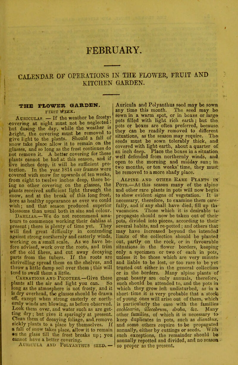 FEBRUARY, CALENDAR OF OPERATIONS IN THE FLOWER, FRUIT AND KITCHEN GARDEN. i THE FXiOWEXt. GARDEN. FIRST tIeEK. Auriculas. — If the weather be frostyi covering at night must not be neglected i but during the day, while the weather is bright, the covering must be removed to give light to the plants. Should a fall of snow take place allow it to remain on the glasses, and so long as the frost continues do not remove it. A bettor covering for these lants cannot be had at this season, and if ve inches deep, it will be sufficient pro- tection. In the year 1814 our frames were covered with snow for upwards of ten weeks, from eight to twelve inches deep, there be- ing no other covering on the glasses, the plants received sufficient light through the snow, and at the break of this long frost, bore as healthy appearance as ever we could wish; and that season produced superior blossoms than usual both in size and colour. Dahlias.—We do not recommend ama- teurs to commence working their dahlias at present; there is plenty of time yet. They will find great difficulty in contending against strong northemly and easterly winds, working on a small scale. As we have be- fore advised, work over the roots, and trim off the old fibres, and cut away decaying parts from the tubers. If the roots are shrivelling spread them on the shelves, and throw a little damp soil over them; this will tend to swell them a little. Carnations AKD PicoTEEa—Give these plants all the air and light you can. So , long as the atmosphere is not frosty, and it is dry overhead, the glasses should be drawn off, except when strong easterly or north- emlv winds are blowing, as before observed. Look them over, and water such as are get- ting dry; but give it sparingly at present. (Mean them of decaying foliage, and. remove sickly plants to a place by themselves. If a fall of snow takes place, allow it to remain an the glass till the frost breaks up; you cannot have a better covering. Auricula anu Polyanthus seed.— Auricula and Polyanthus seed may be sown any time this month. The seed may be sown in a warm spot, or in boxes or large pots filled with light rich earth; but the pots or boxes are often preferred, because they can be readily removed to different situations, as the season may require. The seeds must be sown tolerably thick, and covered with light earth, about a quarter of an inch deep. Place the boxes in a situation well defended from northemly winds, and open to the morning and midday sun; in two months, or ten weeks’ time, they must be removed to a more shady place. Alpine and other Rare Plants in Pots.—At this season many of the alpine and other rare plants in pots will now begin to show evident signs of vegetation. It is necessary, therefore, to examine them care- fully, and if any shall have died, fill up th* vacancie.s. Those which it is desirable tin propagate should now be taken out of their pots, divided into pieces, according to their several habits, and re-pottecl; and others that may have increased beyond the intended limits of the collection should be planted out, partly on the rock, or in favourable situations in the flower borders, keeping only a specimen or two of each in pots, unless it be those which are very minute and liable to be lost, or too rare to be yet trusted out either in the general collection or in the borders. Many alpine plants of great beauty are only annuals, therefore, such should be attended to, and the pots in which they grow left undisturbed, as in a short time it is very probable that a stocb of young ones will arise out of them, which is particularly the case with the families coMearia, illecebrum, droba, &c. hinny other families, of which it is necessary to keep duplicates in pots, such as dianihus, and some others require to be propagated annually, either by cuttings or seeds. Witli such exceptions, the remainder should be annually repotted and divided, and no season so proper as the present.