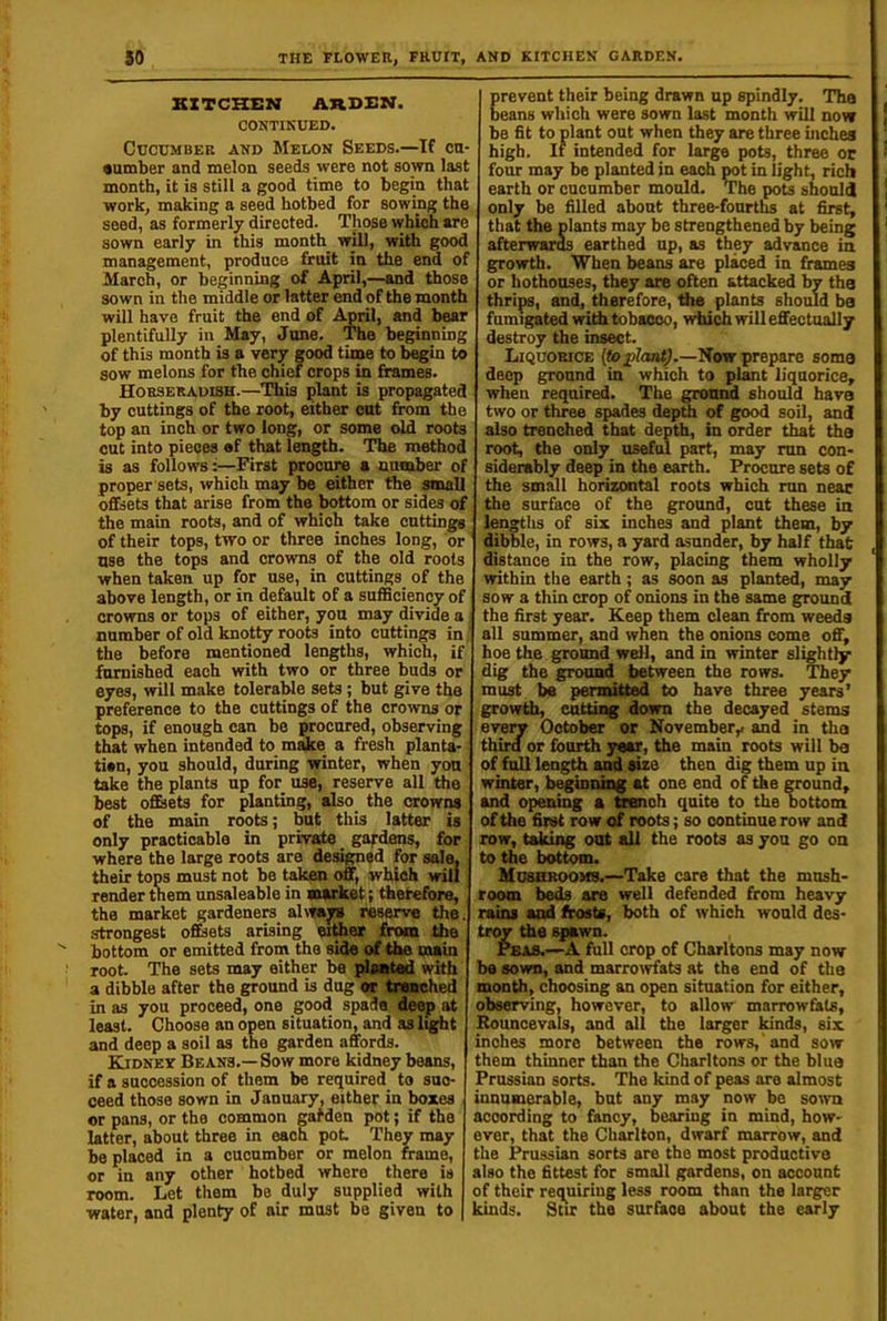 KITCHEN ARDEN. CONTINUED. Cucumber and Melon Seeds.—If cn- •umber and melon seeds were not sown last month, it is still a good time to begin that work, making a seed hotbed for sowing the seed, as formerly directed. Those which are sown early in this month will, with good management, produce fruit in the end of March, or beginning of April,—and those sown in the middle or latter end of the month will have fruit the end of April, and bear plentifully in May, June. The beginning of this month is a ver;^ good time to l^in to sow melons for the chief crops in frames. Horseradish.—This plant is propagated by cuttings of the root, either cut from the top an inch or two long, or some old roots cut into pieces of that length. The method is as follows:—First procure a anmber of proper sets, which may be either the small offsets that arise from the bottom or sides of the main roots, and of which take cuttings of their tops, two or three inches long, or use the tops and crowns of the old roots when taken up for use, in cuttings of the above length, or in default of a sufficiency of crowns or tops of either, you may divide a number of old knotty roots into cuttings in; the before mentioned lengths, which, if furnished each with two or three buds or eyes, will make tolerable sets; but give the preference to the cuttings of the crowns or tops, if enough can be procured, observing that when intended to make a fresh plants- tisn, you should, during winter, when you ' take the plants up for use, reserve all the best ofiEiets for planting, aIso_ the crowns of the main roots; but this latter is' only practicable in private gardens, for where the large roots are designed for sale, their tops must not be taken off, which will render tliem unsaleable in saarket; tfaefefore, the market gardeners alwajr* Mserve the. strongest o&ets arising either from the bottom or emitted from the side of the main root. The sets may either be ^satad with a dibble after the ground is dug or trenched in as you proceed, one good spade deep at least. Choose an open situation, and as light and deep a soil as the garden affords. Kidney Beans.—Sow more kidney beans, if a succession of them be required to suo- ceed those sown in January, either in boxes or pans, or the common garden pot; if the latter, about three in each pot They may be placed in a cucumber or melon frame, or in any other hotbed where there is room. Let them be duly supplied with water, and plenty of air must be given to revent their being drawn up spindly. Tha , eans which were sown last month will now i he fit to plant out when they are three inches ; high. It intended for large pots, three or * four may be planted in each pot in light, rich earth or cucumber mould. The pots should only be filled about three-fourths at ^t, that the plants may be strengthened by being < afterwards earthed up, as they advance in growth. When beans are placed in frames or hothouses, they are often attacked by the thrips, and, therefore, ffie plants should be fumigated widi tobacco, whiw will effectually destroy the insect. Liquorice {tojpIatUj.—Now prepare some deep ground in which to pl^t liquorice, when required. The grotmd should have two or three spades depth of good soil, and also trenched that depth, in order that the root, the only useful part, may run con- I siderably deep in the earth. Procure sets of I the small horizontal roots which nm near I the surface of the ground, cut these in I lengths of six inches and plant them, by I dibble, in rows, a yard asnnder, by half that , distance in the row, placing them wholly within the earth; as soon as planted, may sow a thin crop of onions in the same ground the first year. Keep them clean from weeds all summer, and when the onions come off, hoe the ground well, and in winter slightly dig the ground between the rows. They must te permitted to have three years’ growth, cutting down the decayed stems I every October or November,, and in the third or fourth year, the main roots will be of fall length am size then dig them up ia winter, beginning at one end of the ground, 1 and opening a trench quite to the bottom of the first row of roots; so continue row and row, taking out all the roots as you go oa to the bottom. Mushrooms.—Take care that the mash- room bods are well defended from heavy rains and frosts, both of which would des- troy the spawn. Peas.—A full crop of Charltons may now be sown, and marromats at the end of the ; month, choosing an open situation for either, > observing, however, to allow marrow&ls, i Kouncevals, and all the larger kinds, six inohes more between the rows, and sow them thinner than the Charltons or the blue Prussian sorts. The kind of peas ore almost innumerable, but any may now be sown according to fancy, bearing in mind, how- ever, that the Charlton, dwarf marrow, and ! the Prussian sorts are the most productive also the fittest for small gardens, on account of their requiring less room than the larger kinds. the surface about the early