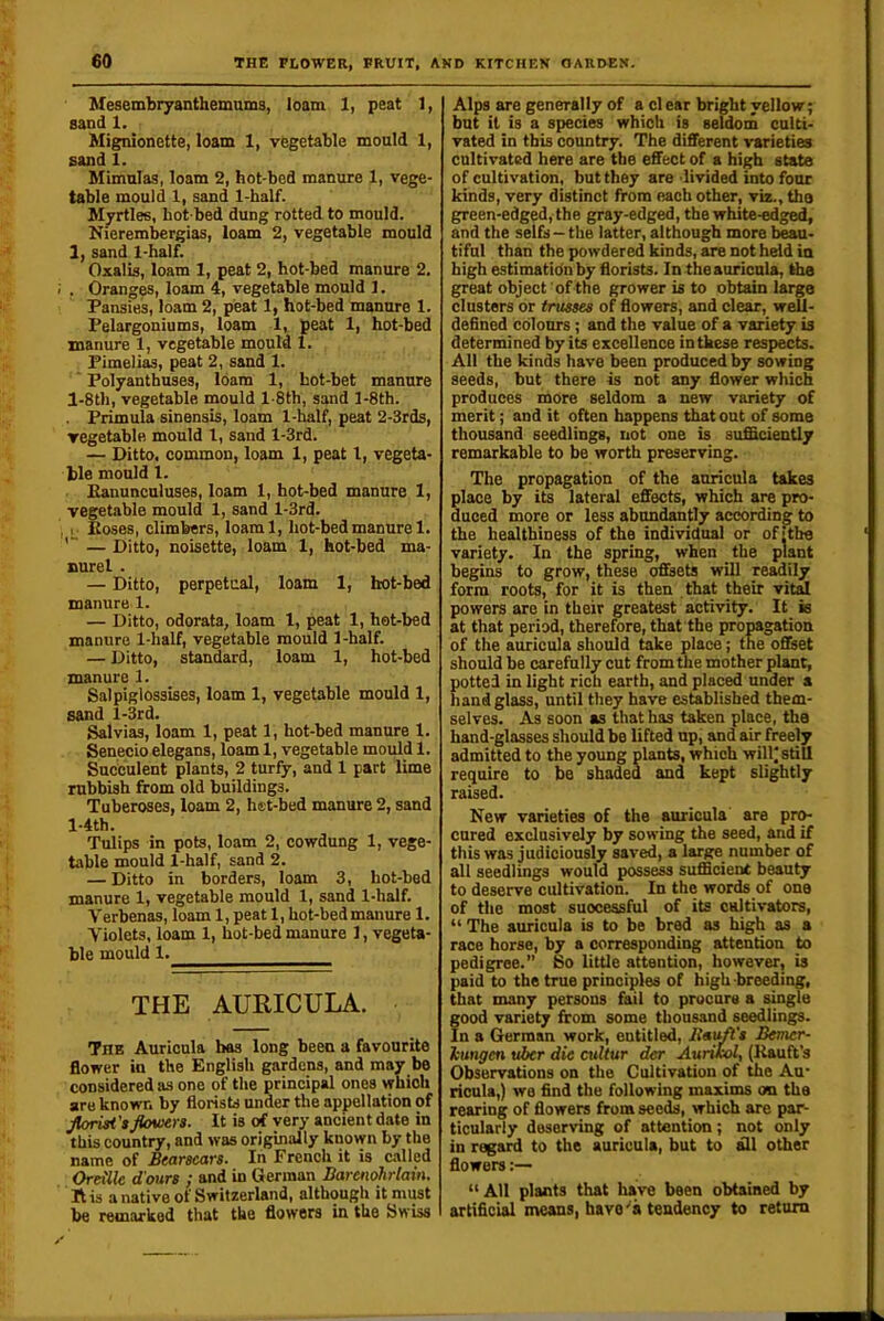 Mesembryanthemums, loam 1, peat 1, sand 1. Mignionette, loam 1, vegetable mould 1, sand 1. Mimnlas, loam 2, hot-bed manure 1, vege- table mould 1, sand 1-half. Myrtles, hot bed dung rotted to mould. Nierembergias, loam 2, vegetable mould 1, sand 1-half. Oxalis, loam 1, peat 2, hot-bed manure 2. . Orange, loam 4, vegetable mould 1. Pansies, loam 2, peat 1, hot-bed manure 1. Pelargoniums, loam 1, peat 1, hot-bed manure 1, vegetable mould 1. Pimelias, peat 2, sand 1. Polyanthuses, loam 1, hot-bet manure l-8th, vegetable mould l-8th, sand l-8th. . Primula sinensis, loam 1-half, peat 2-3rds, vegetable mould 1, sand l-3rd. — Ditto, common, loam 1, peat 1, vegeta- ble mould 1. Eanunculuses, loam 1, ho^bed manure 1, vegetable mould 1, sand l-3rd. ^ Eoses, climbers, loaml, hot-bed manure 1. — Ditto, noisette, loam 1, hot-bed ma- nurel . — Ditto, perpetual, loam 1, bot-bed manure 1. — Ditto, odorata, loam 1, peat 1, hot-bed manure 1-half, vegetable mould 1 -half. — Ditto, standard, loam 1, hot-bed manure 1. Salpiglossises, loam 1, vegetable mould 1, sand l-3rd. Salvias, loam 1, peat 1, hot-bed manure 1. Senecio elegans, loam 1, vegetable mould 1. Succulent plants, 2 turfy, and 1 part lime rubbish from old buildings. Tuberoses, loam 2, het-bed manure 2, sand l-4th. Tulips in pots, loam 2, cowdung 1, vege- table mould l-ha1f, sand 2. — Ditto in borders, loam 3, hot-bed manure 1, vegetable mould 1, sand 1-half. Verbenas, loam 1, peat 1, hot-bed manure 1. Violets, loam 1, hot-bed manure 1, vegeta- ble mould 1. THE AURICULA. The Auricula has long been a favourite flower in the English gardens, and may be considered as one of the principal ones wbioli are known by florists under the appellation of Jtorisi'sJioiuers. It is of very ancient date in this country, and was originally known by the name of Bearacars. In French it is called Oretlle d'ours ; and in German Darenohrlam, Ris a native of Switzerland, although it must be remarked that the flowers in the Swiss Alps are generally of a cl ear bright yellow; but it is a species which is seldom culti- vated in this country. The different varieties cultivated here are the effect of a high state of cultivation, but they are divided into four kinds, very distinct from each other, viz., the green-edged, the gray-edged, the white-edged, and the seifs —the latter, although more b^u- tiful than the powdered kinds, are not held in high estimatidnby florists. In the auricula, the great object of the grower is to obtain large clusters or trusses of flowers, and clear, well- defined colours; and the value of a variety is determined by its excellence in these respects. All the kinds have been produced by sowing seeds, but there is not any flower which produces more seldom a new variety of merit; and it often happens that out of some thousand seedlings, not one is sufficiently remarkable to be worth preserving. The propagation of the auricula takes place by its lateral effects, which are pro- duced more or less abundantly according to the healthiness of the individual or of|the variety. In the spring, when the plant begins to grow, these offsets will readily form roots, for it is then that their vital powers are in their greatest activity. It is at that period, therefore, that the propagation of the auricula should take place; the offset should be carefully cut from ffie mother plant, potted in light rich earth, and placed under a handglass, until they have established them- selves. As soon as that has taken place, the hand-glasses should be lifted up, smd air freely admitted to the young plants, which will'still require to be shaded and kept slightly raised. New varieties of the auricula are pr(^ cured exclusively by sowing the seed, and if this was judiciously saved, a large number of all seedlings would possess sufficient beauty to deserve cultivation. In the words of one of the most successful of its cultivators, “ The auricula is to be bred as high as a race horse, by a corresponding attention to pedigree. Bo little attention, however, is paid to the true principles of high breeding, that many persons fail to procure a single food variety from some thousand seedlings. n a German work, entitled, BauB't Berner- kungen uber die cultur der Aurixol, (Eauft’s Observations on the Cultivation of the Au* ricula,) we find the following maxims oo the rearing of flowers from seeds, which are par- ticularly deserving of attention; not only in regard to the auricula, but to tffl other flowers “All plants that have been obtained by artificial means, have'a tendency to return