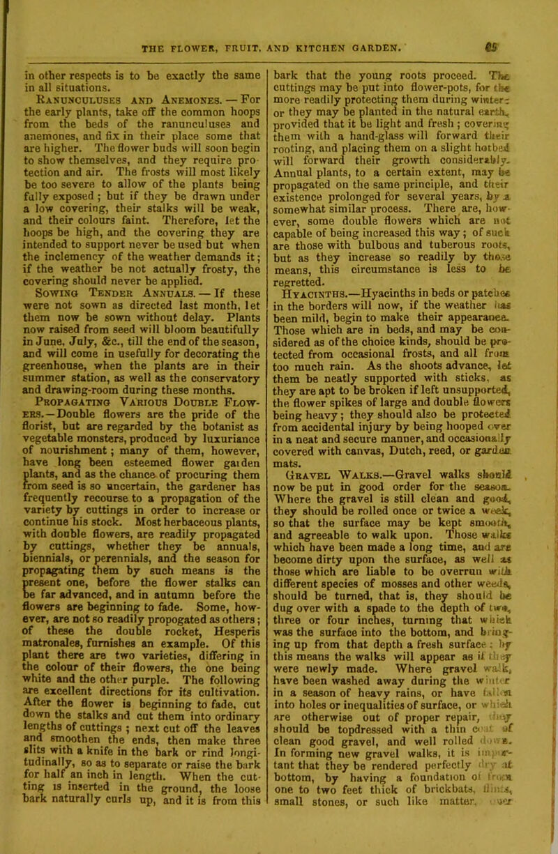 in other respects is to be exactly the same in all situations. Ranunculuses and Anemones. — For the early plants, take oflF the common hoops from the beds of the ranunculuses and anemones, and fix in their place some that are higher. The flower buds will soon begin to show themselves, and they require pro- tection and air. The frosts will most likely be too severe to allow of the plants being fully exposed ; but if they be drawn under a low covering, their stalks will be weak, and their colours faint. Therefore, let the hoops be high, and the covering they are intended to support never be used but when the inclemency of the weather demands it; if the weather be not actually frosty, the covering should never be applied. Sowing Tender Annuals. — If these were not sown as directed last month, let them now be sown without delay. Plants now raised from seed will bloom beautifully in June, July, &c., till the end of the season, and will come in usefully for decorating the greenhouse, when the plants are in their summer station, as well as the conservatory and drawing-room during these months. Propagating Various Double Flow- ers.—Double flowers are the pride of the florist, but are regarded by the botanist as vegetable monsters, produced by luxuriance of nourishment; many of them, however, have long been esteemed flower gaiden plarits, and as the chance of procuring them from seed is so uncertain, the gardener has frequently recourse to a propagation of the variety by cuttings in order to increase or continue his stock. Most herbaceous plants, with double flowers, are readily propagated bjr cuttings, whether they be annuals, biennials, or perennials, and the season for propagating them by such means is the present one, before the flower stalks can be far advanced, and in autumn before the flowers are beginning to fade. Some, how- ever, are not so readily propogated as others; of these the double rocket, Hesperis matronales, furnishes an example. Of this plant there are two varieties, differing in the colour of their flowers, the one being white and the other purple. The following are excellent directions for its cultivation. After the flower is beginning to fade, cut down the stalks and cut them into ordinary lengths of cuttings ; next cut off the leaves and smoothen the ends, then make three slits with a knife in the bark or rind longi- tudinally, so as to separate or raise the bark for half an inch in length. When the cut- ting IS inserted in the ground, the loose bark naturally curls up, and it is from this bark that the young roots proceed. The cuttings may be put into flower-pots, for the more readily protecting them during winter-: or they may be planted in the natural earth, provided that it be light and fresh ; covering them with a hand-glass will forward their rooting, and placing them on a slight hotbed will forward their growth considerably- Annual plants, to a certain extent, may be propagated on the same principle, and their existence prolonged for several years, by a somewhat similar process. There are, how- ever, some double flowers which are not capable of being increased this way; of such are those with bulbous and tuberous roots, but as they increase so readily by tho.-ie means, this circumstance is less to be regretted. Hyacinths.—Hyacinths in beds or patehee in the borders will now, if the weather iuu been mild, begin to make their appearance. Those which are in beds, and may be con- sidered as of the choice kinds, should be pro- tected from occasional frosts, and all from too much rain. As the shoots advance, let them be neatly supported with sticks, as they are apt to be broken if left unsupported, the flower spikes of large and double flowers being heavy; they should also be protected from accidental injury by being hooped over in a neat and secure manner, and occasionally covered with canvas, Dutch, reed, or garduii mats. Gravel Walks.—Gravel walks should now be put in good order for the seasoa. Where the gravel is still clean and good, they should be rolled once or twice a woek, so that the surface may be k^t smootli, and agreeable to walk upon. Those walks which have been made a long time, and are become dirty upon the surface, as well as those which are liable to be overran with different species of mosses and other weeils, should be turned, that is, they should be dug over with a srade to the depth of two, three or four inches, turning that wliieli was the surface into the bottom, and bi iug- ing up from that depth a fresh surface ; hy this means the walks will appear as il they were newly made. Where gravel walk, have been washed away during the winter in a season of heavy rains, or have Wl>»i into holes or inequalities of surface, or whioh are otherwise out of proper repair, tioy should be topdressed with a thin it clean good gravel, and well rolled -i '-.s. In forming new gravel walks, it is ini; i«-- tant that they be rendered perfectly ih > at bottom, by having a foundation oi •'■.fa one to two feet thick of brickbats, liiius, small stones, or such like matter.