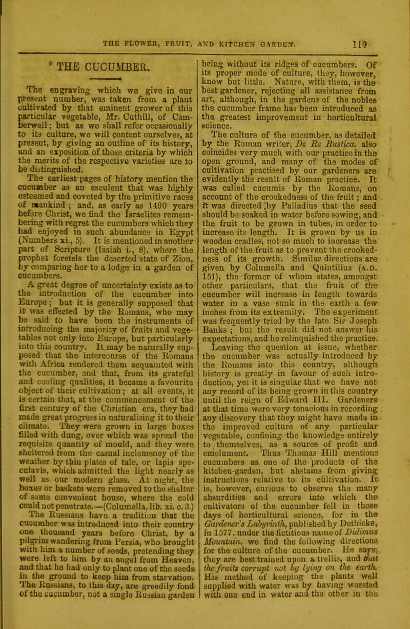 • THE CUCUAIBER. The engraving which we give in our present number, was taken from a plant unltivated by that eminent grower of this particular vegetable, Mr. Cuthill, of Cam- berwell ; but as we shall refer occasionally to its culture, we will content ourselves, at present, by giving an outline of its history, and an exposition of those criteria by which the merits of the respective varieties are to be distinguished. The earliest pages of history mention the encumber as an esculent that was highly esteemed and coveted by the primitive races of mankind ; and, as early as 1490 years before Christ, we find the Israelites remem- bering with regret the cucumbers which they enjoyed in such abundance in Egypt (Numbers xi., 5). It is mentioned in another part of Scripture (Isaiah i., 8), where the prophet foretels the deserted state of Zion, by comparing her to a lodge in a garden of cucumbers. A great degree of uncertainty exists as to the introduction of the cucumber into Europe; but it is generally supposed that it was effected by the Komans, who may be said to have been the instruments of introducing the majority of fruits and vege- tables not only into Europe, but p.irticutarly into this country. It may be naturally sup- posed that the intercourse of the Romans with Africa rendered them acquainted with the cucumber, and that, from its grateful and cooling qualities, it became a favourite object of their cultivation; at all events, it is certain that, at the commencement of the first century of the Christian era, they had made great progress in naturalising it to their climate. They were grown in large boxes filled with dung, over which was spread the requisite quantity of mould, and they were sheltered from the casual inclemency of the weather by thin plates of talc, or, lapis spe- culavis, which admitted the light nearly as well as our modern glass. At night, the boxes or baskets were removed to the shelter of seme convenient house, where the cold could not penetrate.—(Columella, lib. xi. c. 3.) The Russians have a tradition that the cucumber was introduced into their country op® thousand years before Christ, by a pilgrim wandering from Persia, who brought with him a number of seeds, pretending they were left to him by an angel from Heaven, and that he had only to plant one of the seeds in the ground to keep him from starvation. The Russians, to this day, are greedily fond of the cucumber, not a single Russian garden being without its ridges of cucumbers. Of its proper mode of culture, they, however, know but little. Nature, with them, is the best gardener, rejecting all assistance from art, although, in the gardens of the nobles the cucumber frame has been introduced as the greatest improvement in horticultural science. The culture of the cucumber, as detailed by_ the Roman writer, B& Re, Rustica, also coincides very much with our practice in the open ground, and many of the modes of cultivation practised by our gardeners are evidently the result of Roman practice. It was called cueumis by the Romans, on account of the crookedness of the fruit; and it was directed ;by Palladius that the seed should be soaked in water before sowing, and the fruit to be grown in tubes, in order to increase its length. It is grown by us in wooden cradles, not so much to increase the length of the fruit as to prevent the crooked- ness of its growth. Similar directions are given by Columella and Quintilius (a.d. 151), the former of whom states, amongst other particulars, that the fruit of the cucumber will increase in length towards water in a vase sunk in the earth a few inches from its extremity. The experiment was frequently tried by the late Sir Joseph Banks ; but the result did not answer his expectations, and he relinquished the practice. Leaving the question at issue, whether the cucumber was actually introduced by the Romans into this country, although history is greatly in favour of such intro- duction, yet it is singular that we have not any record of its being grown in this country until the reign of Edvvard III. Gardeners at that time were very tenacious in recording any discovery that they might have made in the improved culture of any particular vegetable, confining the knowledge enthely to themselves, as a source of profit and emolument. Thus Thomas Hill mentions cucumbers as one of the products of the kitchen-garden, but abstains from giving instructions relative to its cultivation. It is, however, curious to observe the many absurdities and errors into which the cultivators of the cucumber fell in those days of horticultural science, for in the Gardener's Labyrinth, published by Dethicke, in 1577, under the fictitious name of Didimus Mountain, we find the following directions for the culture of the cucumber. He sots; tliey are best trained upon a trellis, and mat the fruits corrupt not by lying on the earth. His method of keeping the plants well supplied with water was by having worsted with one end in water and the other in the