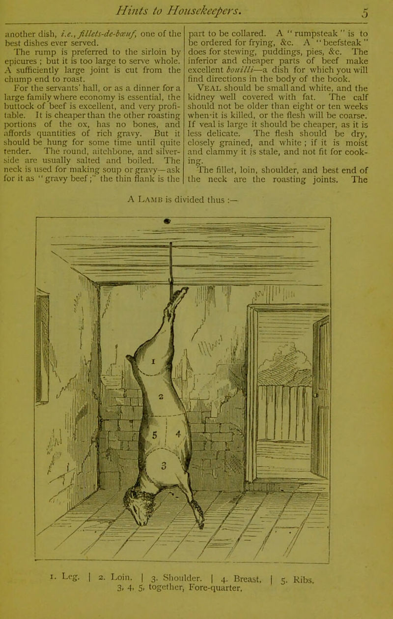 another dish, i.c., fillcts-dc-bceuf, one of the best dishes ever served. The rump is preferred to the sirloin by epicures ; but it is too large to serve whole. A sufficiently large joint is cut from the chump end to roast. For the servants' hall, or as a dinner for a large family where economy is essential, the buttock of beef is excellent, and very profi- table. It is cheaper than the other roasting portions of the ox, has no bones, and affords quantities of rich gravy. But it should be hung for some time until quite tender. The round, aitchbone, and silver- side arc usually salted and boiled. The neck is used for making soup or gravy—ask for it as gravy beefthe thin flank is the part to be collared. A  rumpsteak is to be ordered for frying, &c. A beefsteak does for stewing, puddings, pies, &c. The inferior and cheaper parts of beef make excellent bouilli—a dish for which you will find directions in the body of the book. Veal should be small and white, and the kidney well covered with fat. The calf should not be older than eight or ten weeks when-it is killed, or the flesh will be coarse. If veal is large it should be cheaper, as it is less delicate. The flesh should be dry, closely grained, and white ; if it is moist and clammy it is stale, and not fit for cook- ing. The fillet, loin, shoulder, and best end of the neck are the roasting joints. The A Lamb is divided thus i. Leg. | 2. Loin. | 3. Shoulder. | 4. Breast. | 5. Ribs.