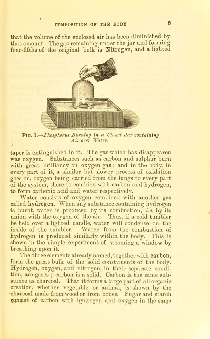 that the volume of the enclosed air has been diminished by that amount. The gas remaining under the jar and forming four-fifths of the original bulk is Nitrogen, and a lighted Fig. 1.—Phosphorus Burning in a Closed Jar containing Air over Water. V. taper is extinguished in it. The gas which has disappeareo was oxygen. Substances such as carbon and sulphur burn with great brilliancy in oxygen gas ; and in the body, in every part of it, a similar but slower process of oxidation goes on, oxygen being carried from the lungs to every part of the system, there to combine with carbon and hydrogen, to form carbonic acid and water respectively. Water consists of oxygen combined with another gas called hydrogen. When any substance containing hydrogen is burnt, water is produced by its combustion, i.e. by its union with the oxygen of the air. Thus, if a cold tumbler be held over a lighted candle, water will condense on the inside of the tumbler. Water from the combustion of hydrogen is produced similarly within the body. This is shown in the simple experiment of steaming a window by breathing upon it. The three elements already named, together with carbon, form the great bulk of the solid constituents of the body. Hydrogen, oxygen, and nitrogen, in their separate condi- tion, are gases ; carbon is a solid. Carbon is the same sub- Btance as charcoal. That it forms a large part of all organic creation, whether vegetable or animal, is shown by the charcoal made from wood or from bones. Sugar and starch consist of carbcu with hydrogen and oxygen in tjie samn