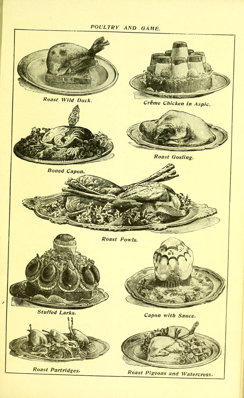 POULTRY AND GAME Roast Wild Duck. Creme Chicken in Aspic. Roast Gosling, Roast Fowls. Stuffed Larks. Capon with Sauce.
