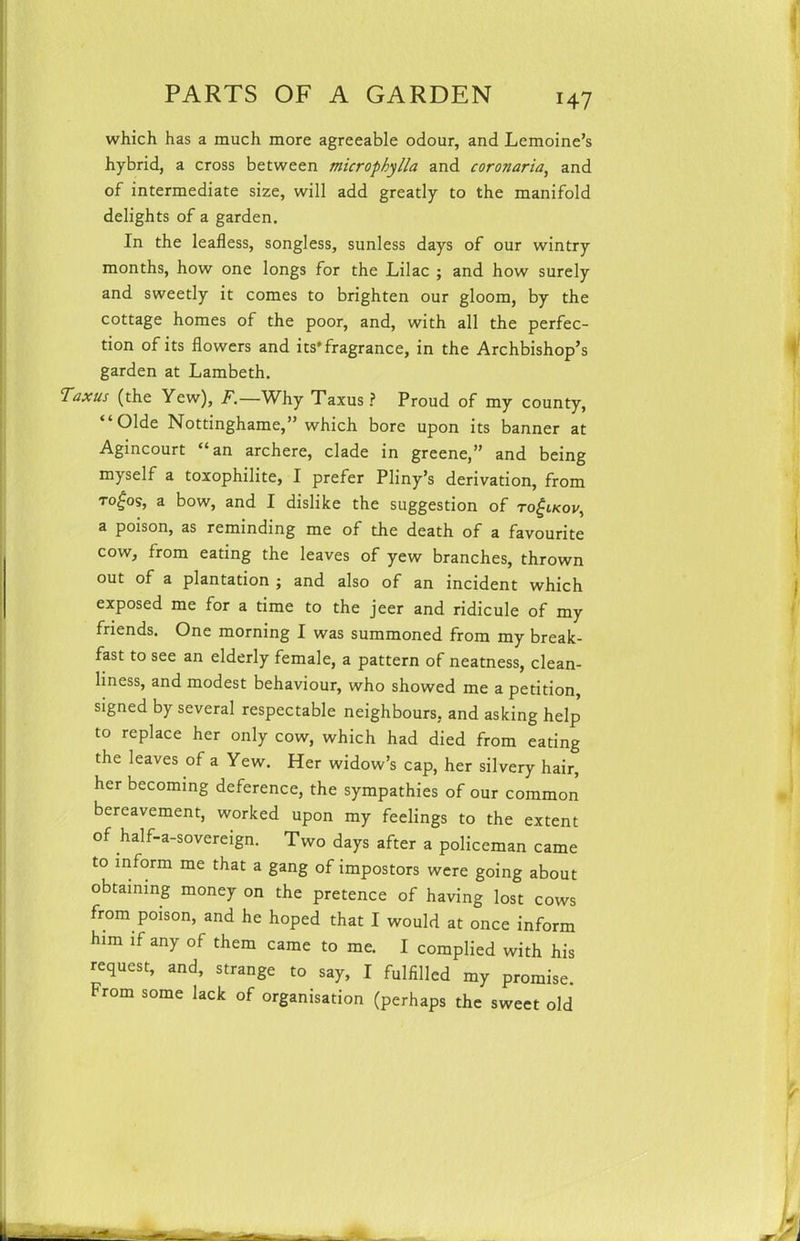 M7 which has a much more agreeable odour, and Lemoine’s hybrid, a cross between micropbylla and coronaria, and of intermediate size, will add greatly to the manifold delights of a garden. In the leafless, songless, sunless days of our wintry months, how one longs for the Lilac ; and how surely and sweetly it comes to brighten our gloom, by the cottage homes of the poor, and, with all the perfec- tion of its flowers and its* fragrance, in the Archbishop’s garden at Lambeth. Taxus (the Yew), F.—Why Taxus? Proud of my county, “ Olde Nottinghame,” which bore upon its banner at Agincourt “an archere, clade in greene,” and being myself a toxophilite, I prefer Pliny’s derivation, from to£os, a bow, and I dislike the suggestion of to£ikov, a poison, as reminding me of the death of a favourite cow, from eating the leaves of yew branches, thrown out of a plantation ; and also of an incident which exposed me for a time to the jeer and ridicule of my friends. One morning I was summoned from my break- fast to see an elderly female, a pattern of neatness, clean- liness, and modest behaviour, who showed me a petition, signed by several respectable neighbours, and asking help to replace her only cow, which had died from eating the leaves of a Yew. Her widow’s cap, her silvery hair, her becoming deference, the sympathies of our common bereavement, worked upon my feelings to the extent of half-a-sovereign. Two days after a policeman came to inform me that a gang of impostors were going about obtaining money on the pretence of having lost cows from poison, and he hoped that I would at once inform him if any of them came to me. I complied with his request, and, strange to say, I fulfilled my promise. From some lack of organisation (perhaps the sweet old