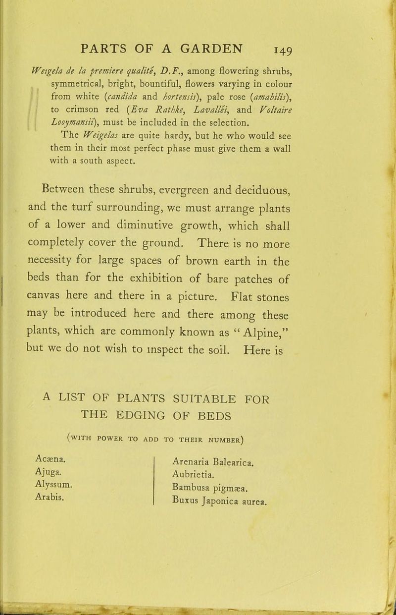 Weigela de la premiere qualite, D.F., among flowering shrubs, symmetrical, bright, bountiful, flowers varying in colour from white (Candida and hortensis), pale rose (amabilis), to crimson red (Eva Rathke, Lavallei, and Voltaire Looymansii), must be included in the selection. The Weigelas are quite hardy, but he who would see them in their most perfect phase must give them a wall with a south aspect. Between these shrubs, evergreen and deciduous, and the turf surrounding, we must arrange plants of a lower and diminutive growth, which shall completely cover the ground. There is no more necessity for large spaces of brown earth in the beds than for the exhibition of bare patches of canvas here and there in a picture. Flat stones may be introduced here and there among these plants, which are commonly known as “ Alpine,” but we do not wish to inspect the soil. Here is A LIST OF PLANTS SUITABLE FOR THE EDGING OF BEDS (with power to add to their number) Acaena. Ajuga. Alyssum Arabis. Arenaria Balearica. Aubrietia. Bambusa pigmaea. Buxus Japonica aurea.