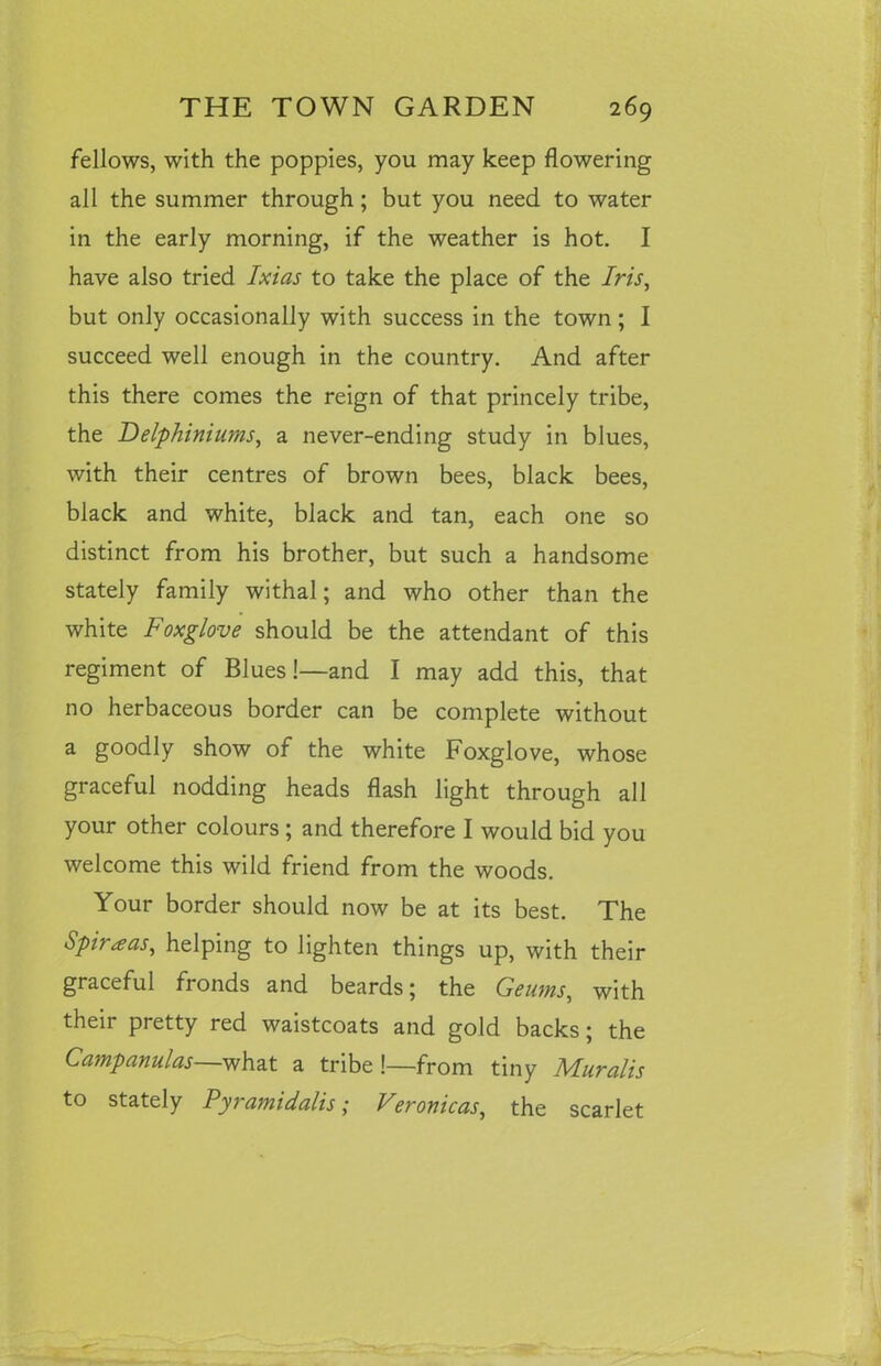 fellows, with the poppies, you may keep flowering all the summer through; but you need to water in the early morning, if the weather is hot. I have also tried Ixias to take the place of the Iris, but only occasionally with success in the town; I succeed well enough in the country. And after this there comes the reign of that princely tribe, the Delphiniums, a never-ending study in blues, with their centres of brown bees, black bees, black and white, black and tan, each one so distinct from his brother, but such a handsome stately family withal; and who other than the white Foxglove should be the attendant of this regiment of Blues!—and I may add this, that no herbaceous border can be complete without a goodly show of the white Foxglove, whose graceful nodding heads flash light through all your other colours; and therefore I would bid you welcome this wild friend from the woods. Your border should now be at its best. The Spiraas, helping to lighten things up, with their graceful fronds and beards; the Geums, with their pretty red waistcoats and gold backs; the Campanulas—what a tribe !—from tiny Muralis to stately Pyramidalis; Veronicas, the scarlet