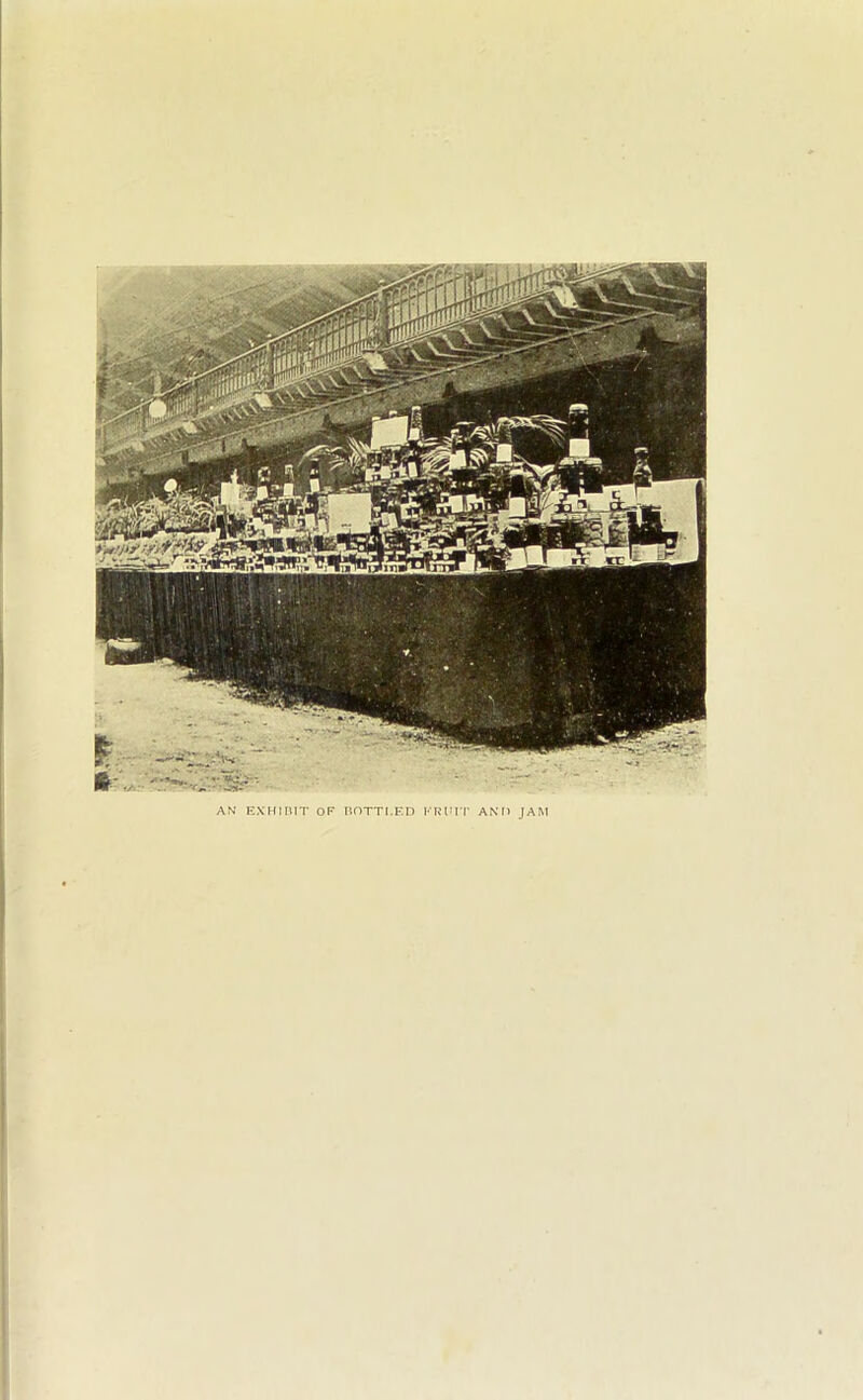 AN EXHIBIT OF BOTTLED FRUIT AND JAM