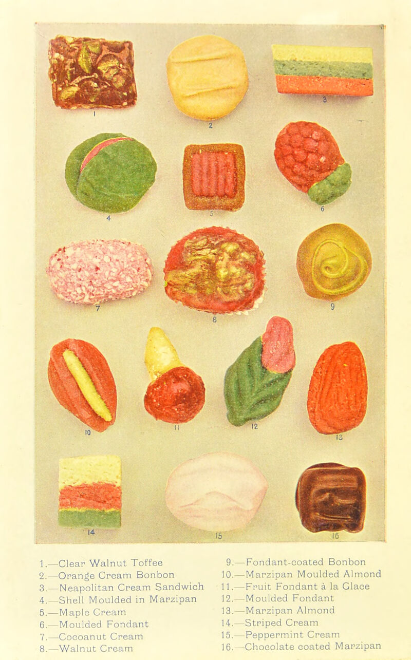 2. —Orange Cream Bonbon 3. —Neapolitan Cream Sandwich 4. —Shell Moulded in Marzipan 5. —Maple Cream 6. —Moulded Fondant 7. —Cocoanut Cream 8. —Walnut Cream 10. —Marzipan Moulded Almond 11. —Fruit Fondant a la Glace 12. —Moulded Fondant 13. —Marzipan Almond 14. —Striped Cream 15. —Peppermint Cream 16. —Chocolate coated Marzipan