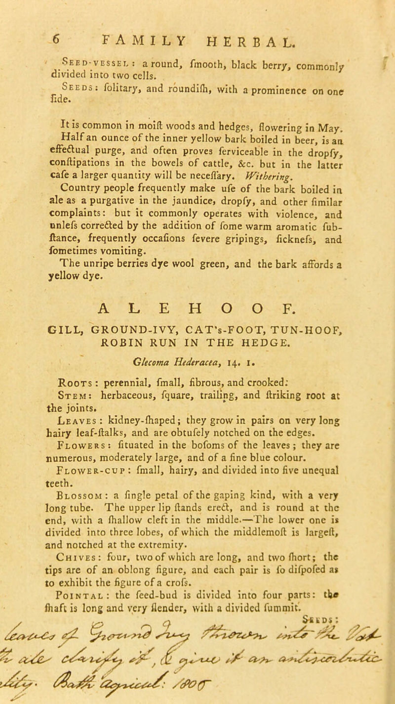 Shed-vessel : around, fmooth, black berry, commonly divided into two cells. Seeds: folitary, and roundifh, with a prominence on one lide. It is common in moift woods and hedges, flowering in May. Half an ounce of the inner yellow bark boiled in beer, is an effeftual purge, and often proves ferviceable in the dropfy, conftipations in the bowels of cattle, &c. but in the latter cafe a larger quantity will be necefl'ary. Withering. Country people frequently make ufe of the bark boiled in ale as a purgative in the jaundice, dropfy, and other fimilar complaints: but it commonly operates with violence, and unlefs corretted by the addition of fome warm aromatic fub- ftance, frequently occafions fevere gripings, ficknefs, and fometimes vomiting. The unripe berries dye wool green, and the bark affords a yellow dye. A L E H O O F. GILL, GROUND-IVY, CAT’s-FOOT, TUN-HOOF, ROBIN RUN IN THE HEDGE. Glecoma Hederacea, 14. 1. Roots: perennial, fmall, fibrous, and crooked; Stem: herbaceous, fquare, trailing, and ftriking root at the joints. Leaves: kidney-fhaped; they grow in pairs on very long hairy leaf-ftalks, and are obtufely notched on the edges. Flowers: fituated in the bofoms of the leaves; they are numerous, moderately large, and of a fine blue colour. Flower-cup: fmall, hairy, and divided into five unequal teeth. Blossom : a Angle petal of the gaping kind, with a very long tube. The upper lip Hands ereft, and is round at the end, with a fhallow cleft in the middle.—The lower one is divided into three lobes, of which the middlemoft is largeft, and notched at the extremity. Chives: four, two of which are long, andtwofhort; the tips are of an oblong figure, and each pair is fo difpofed as to exhibit the figure of a crofs. Pointal: the feed-bud is divided into four parts: tlj* fhaft is long and very flender, with a divided fummit.