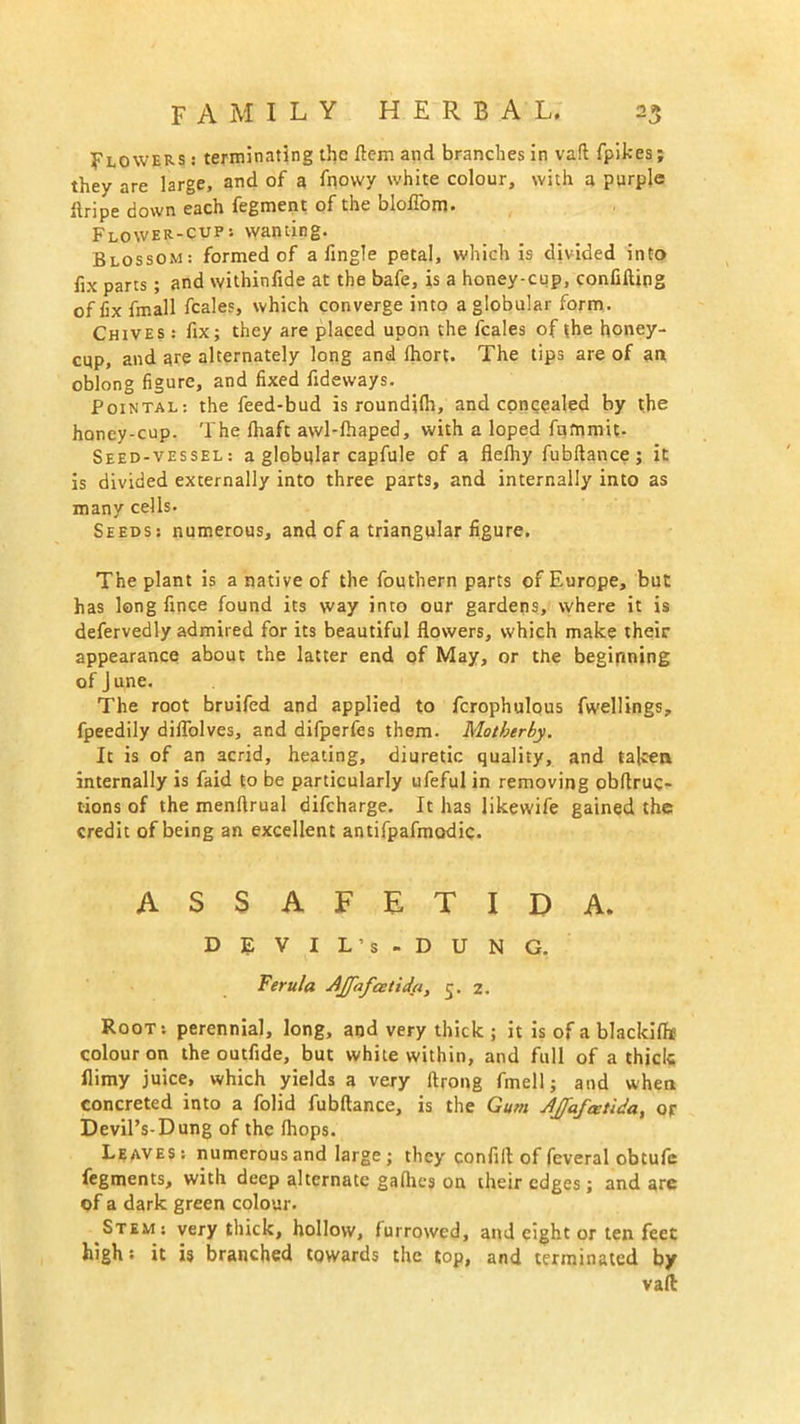 Flowers : terminating the Item and branches in vaft fpikes; they are large, and of a fnowy white colour, with a purple flripe down each fegment of the blofl'om. Flower-cup: wanting. Blossom: formed of a fingle petal, which is divided into fix parts; and withinfide at the bafe, is a honey-cup, confiding of fix fmall fcales, which converge into a globular form. Chives : fix; they are placed upon the fcales of the honey- cup, and are alternately long and Ihort. The tips are of an oblong figure, and fixed fideways. Pointal: the feed-bud is roundilh, and concealed by the honey-cup. The fhaft awl-fhaped, with a loped fummit- Seed-vessel: a globular capfule of a flefhy fubftance; it is divided externally into three parts, and internally into as many cells. Seeds: numerous, and of a triangular figure. The plant is a native of the fouthern parts of Europe, but has long fince found its way into our gardens, where it is defervedly admired for its beautiful flowers, which make their appearance about the latter end of May, or the beginning of J une. The root bruifed and applied to fcrophulous fwellings, fpeedily diffolves, and difperfes them. Motherly. It is of an acrid, heating, diuretic quality, and taken internally is faid to be particularly ufeful in removing obflruc- tions of the menftrual difcharge. It has likewife gained the credit of being an excellent antifpafmodic. ASSAFETIDA. DEVIL’s-DUNG. Ferula AJfafatida, 5. 2. Root: perennial, long, and very thick ; it is of a blackiflr colour on the outfide, but white within, and full of a thick flimy juice, which yields a very ftrong fmell; and when concreted into a folid fubftance, is the Gum AJafcetida, or Devil’s-Dung of the fhops. Leaves: numerous and large; they c.onfift of feveral obtufe fegments, with deep alternate gafties on their edges; and are of a dark green colour. Stem: very thick, hollow, furrowed, and eight or ten feet high • it is branched towards the top, and terminated by vaft: