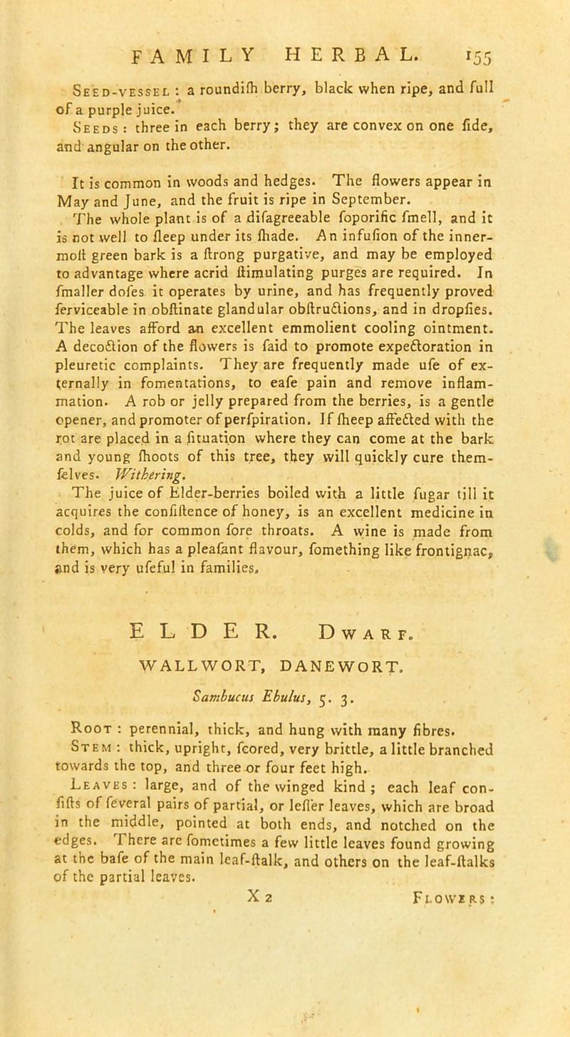 Seed-vessel : a roundifh berry, black when ripe, and full of a purple juice. Seeds: three in each berry; they are convex on one fide, and angular on the other. It is common in woods and hedges. The flowers appear in May and June, and the fruit is ripe in September. The whole plant is of a difagreeable foporific fmell, and it is not well to fleep under its fliade. An infufion of the inner- moll green bark is a ftrong purgative, and may be employed to advantage where acrid fiimulating purges are required. In fmaller doles it operates by urine, and has frequently proved ferviceable in obftinate glandular obftruflions, and in dropfies. The leaves afford an excellent emmolient cooling ointment. A decoftion of the flowers is faid to promote expedforation in pleuretic complaints. They are frequently made ufe of ex- ternally in fomentations, to eafe pain and remove inflam- mation. A rob or jelly prepared from the berries, is a gentle opener, and promoter of perfpiration. If Iheep affedled with the rot are placed in a fituation where they can come at the bark and young Ihoots of this tree, they will quickly cure them- felves. Withering. The juice of Elder-berries boiled with a little fugar till it acquires the confluence of honey, is an excellent medicine in colds, and for common fore throats. A wine is made from them, which has a pleafant flavour, fomething like frontignac, and is very ufefu! in families. ELDER. Dwarf. WALLWORT, DANEWORT. Sambucus Ebulus, 5. 3. Root : perennial, thick, and hung with many fibres. Stem : thick, upright, fcored, very brittle, a little branched towards the top, and three or four feet high. Leaves: large, and of the winged kind; each leaf con- fifts of feveral pairs of partial, or lefler leaves, which are broad in the middle, pointed at both ends, and notched on the edges. There arc fomctimes a few little leaves found growing at the bafe of the main leaf-ftalk, and others on the leaf-ftalks of the partial leaves.
