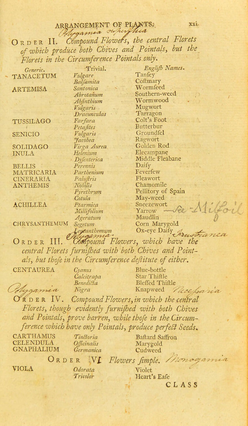 Order II. Cmpound Flowefs, the central Florets of which produce both Chives and Pointals, but the Florets in the Circumference Pointals only. Enplifh Names. Tan fey Coftmary Wormfeed Southern-weed Wormwood Mugwort Tarragon Colt’s Foot Butterbur Groundfel Ragwort Golden Rod Elecampane Middle Fleabane Daify Feverfew Fleawort Chamomile Pellitory of Spain May-weed Sneezewort Yarrow Maudlin Corn Marygold Ox-eye Daify / Generic. Trivial. - TANACETUM Vtdgare Balfaniita ARTEMISA Santonica Abrotahum Abfinthium Vulgaris Dracunculas TUSSILAGO Farfara * Petafites SENICIO Vulgaris Jacobea SOLIDAGO Virga Aurea INULA Helenium Dyfenterica BELLIS Perennis MATRICARIA Parthenium CINERARIA Palujlris ANTHEMIS NobiHs Pyretbrum Cotula ACFIILLEA Ptarmica CHRYSANTHEMUM Order Millifolium Ageratum Segetum eueantbemiim •t ~ „ kA */£ —iU L y-O-l . 0 npound Flowers, which have the central Florets furnifhect with both Chives and Point - als, but thofe in the Circumference deftitute of either. CENTAUREA Cyamts Blue-bottle -v Calcitrapa Star Thiftle Benedict a 111 e fled Thiftle Nigra Knapweed Compound Flowers, in which the central Florets, though evidently furnifoed with both Chives and Pointals, prove barren, while thofe in the Circum- ference which have only Pointals, produce perfect Seeds. it' f( D E R IV. CARTHAMUS CELENDULA GNAPHALIUM O R D VIOLA TinBoria Ballard Saffron Officinalis Marygold Germanica Cudweed J-y » e r V£ Flowers fimple. P/ds?/ Odorata Violet Tricolor Heart’s Eafe