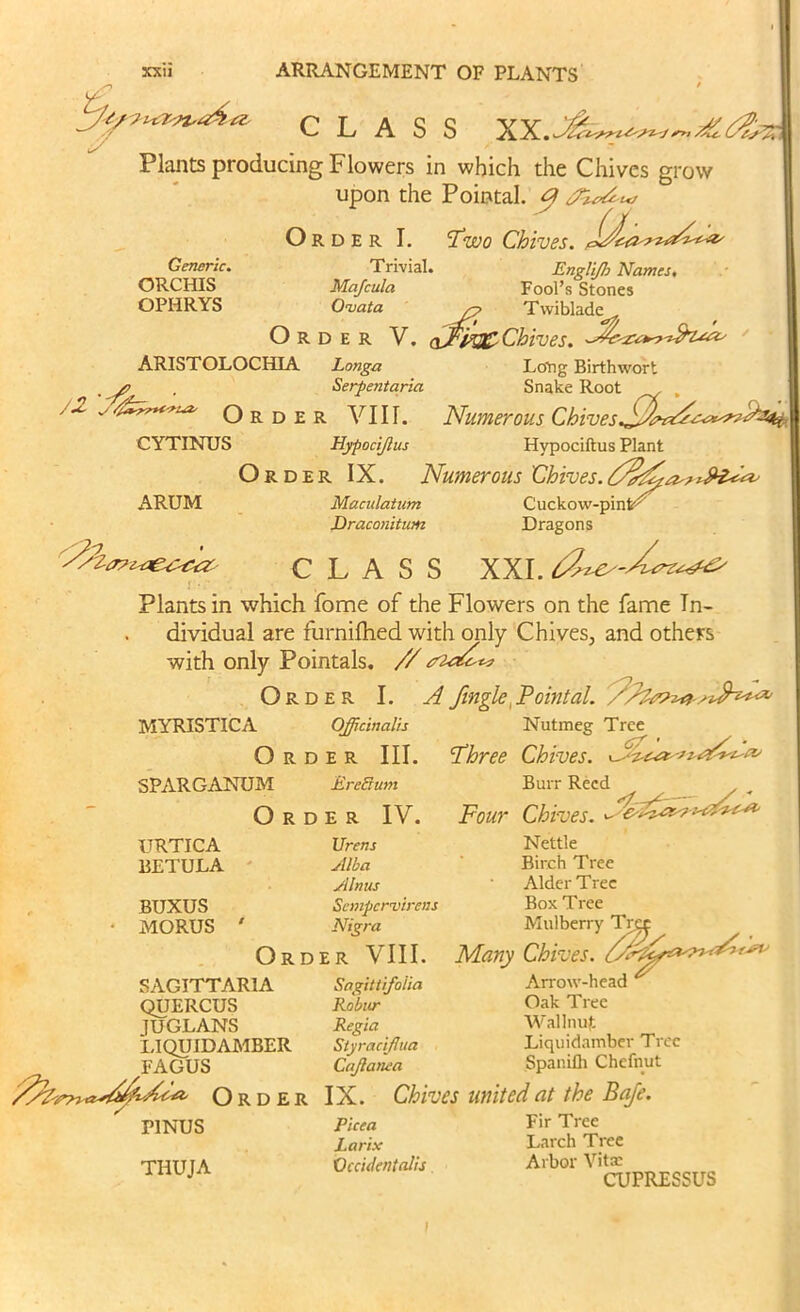 //// <s CLASS XX.J& Plants producing Flowers in which the Chives grow upon the Poiotal. $ Order I. Two Chives. Trivial. Englijb Names, Majcula Fool’s Stones Onsata /p Twiblade Order V. affiPSC Chives, ARISTOLOCHIA Longa Long Birthwort Generic. ORCHIS OPHRYS /2 '/* Serpentaria Order VIII. CYTINUS Hypocijlus Snake Root /'V * Order IX. ARUM Maculatum Draconitum Nutmeg Tree Three Chives. Burr Reed x Four Chives. Numerous Chives Hypociftus Plant Numerous Chives. Cuckow-pinV Dragons CLASS XXI. Plants in which fome of the Flowers on the fame In- dividual are furnifhed with only Chives, and others with only Pointals. // eOatz-to Order I. Afmgle{Pointal. MYRISTICA Officinalis Order III. SPARGANUM EreSum Order IY. Nettle Birch Tree Alder Tree Box Tree Nigra Mulberry Tret Order VIII. Many Chives. 70 Sagittifoiia Arrow-head ^ Robnr Oak Tree Regia Wallnuf. Styraciflua Liquidamber Tree Cajlanea Spanilh Chefnut IX. Chives united at the Bafe. Picea Fir Tree Larix Larch Tree Occidental's Arbor Vitae URTICA BETULA BUXUS MORUS SAGITTAR1A QUERCUS 1UGLANS LIQUIDAMBER FAGUS /yCv^i Order P1NUS Urens Alba Alnus Scmpcrvirens TIIUJA CUPRESSUS i