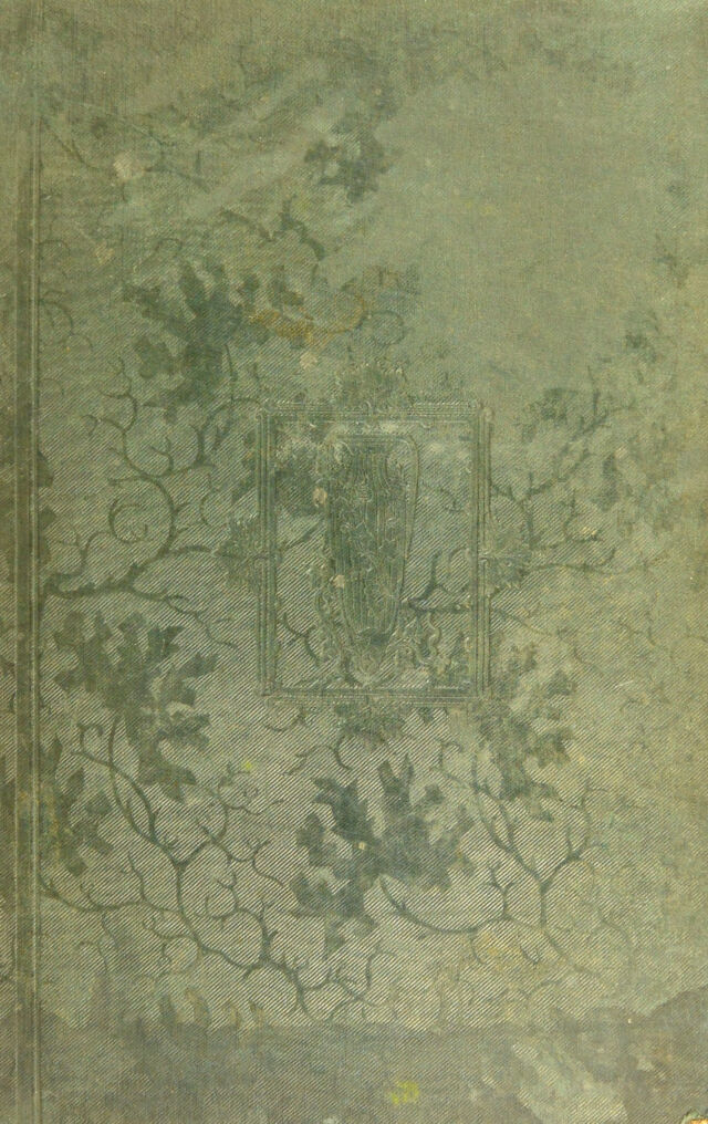 No text description is available for this image