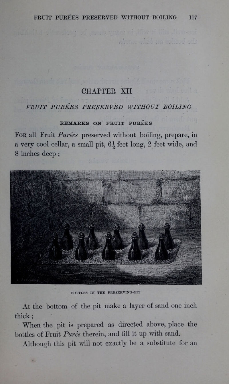 CHAPTEE XII FRUIT PUREES PRESERVED WITHOUT BOILING REMARKS ON FRUIT PUREES Eor all Fruit Purees preserved without boiling, prepare, in a very cool cellar, a small pit, 6^ feet long, 2 feet wide, and 8 inches deep ; I Mm BOTTLES IN THE PRESERVING-PIT At the bottom of the pit make a layer of sand one inch thick; When the pit is prepared as directed above, place the bottles of Fruit Puree therein, and fill it up with sand. Although this pit will not exactly be a substitute for an