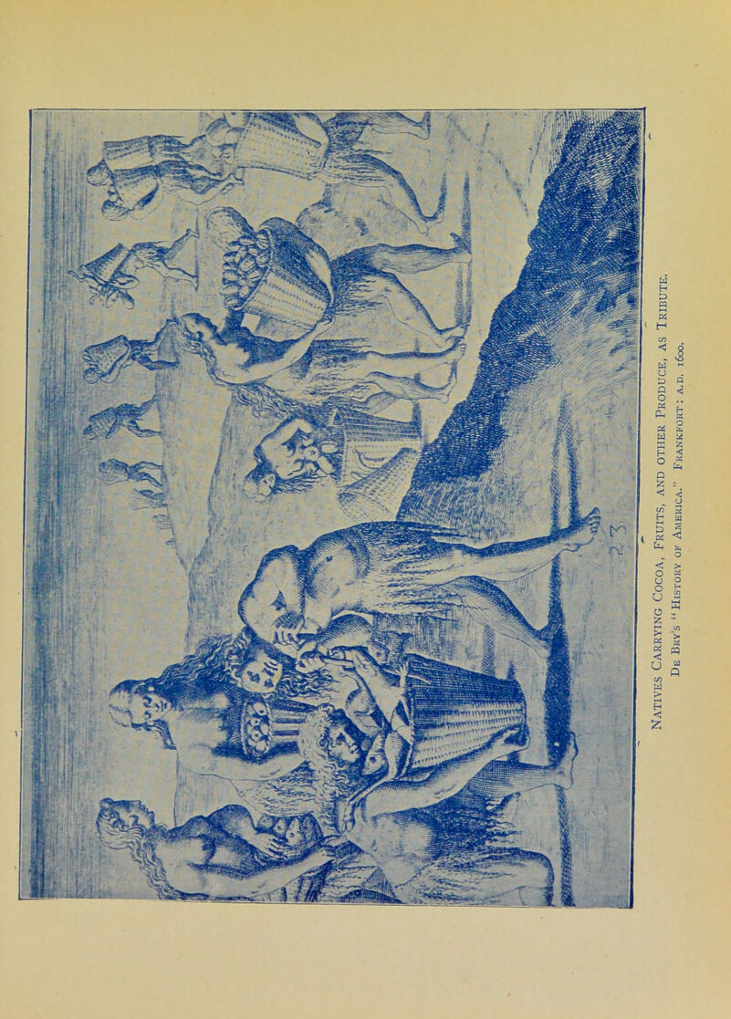 Natives Carrying Cocoa, Fruits, and other Produce, as Tribute. De Bry’s “History of America.” Frankfort: a.d. 1600.