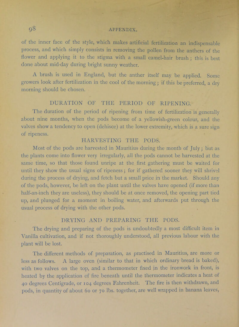 of the inner face of the style, which makes artificial fertilization an indispensable process, and which simply consists in removing the pollen from the anthers of the flower and applying it to the stigma with a small camel-hair brush ; this is best done about mid-day during bright sunny weather. A brush is used in England, but the anther itself may be applied. Some growers look after fertilization in the cool of the morning • if this be preferred, a dry morning should be chosen. DURATION OF THE PERIOD OF RIPENING. The duration of the period of ripening from time of fertilization is generally about nine months, when the pods become of a yellowish-green colour, and the valves show a tendency to open (dehisce) at the lower extremity, which is a sure sign of ripeness. HARVESTING THE PODS. Most of the pods are harvested in Mauritius during the month of July; but as the plants come into flower very irregularly, all the pods cannot be harvested at the same time, so that those found unripe at the first gathering must be waited for until they show the usual signs of ripeness; for if gathered sooner they will shrivel during the process of drying, and fetch but a small price in the market. Should any of the pods, however, be left on the plant until the valves have opened (if more than half-an-inch they are useless), they should be at once removed, the opening part tied up, and plunged for a moment in boiling water, and afterwards put through the usual process of drying with the other pods. DRYING AND PREPARING THE PODS. The drying and preparing of the pods is undoubtedly a most difficult item in Vanilla cultivation, and if not thoroughly understood, all previous labour with the plant will be lost. The different methods of preparation, as practised in Mauritius, are more or less as follows. A large oven (similar to that in which ordinary bread is baked), with two valves on the top, and a thermometer fixed in the ironwork in front, is heated by the application of fire beneath until the thermometer indicates a heat of 40 degrees Centigrade, or 104 degrees Fahrenheit. The fire is then withdrawn, and pods, in quantity of about 60 or 70 lbs. together, are well wrapped in banana leaves,