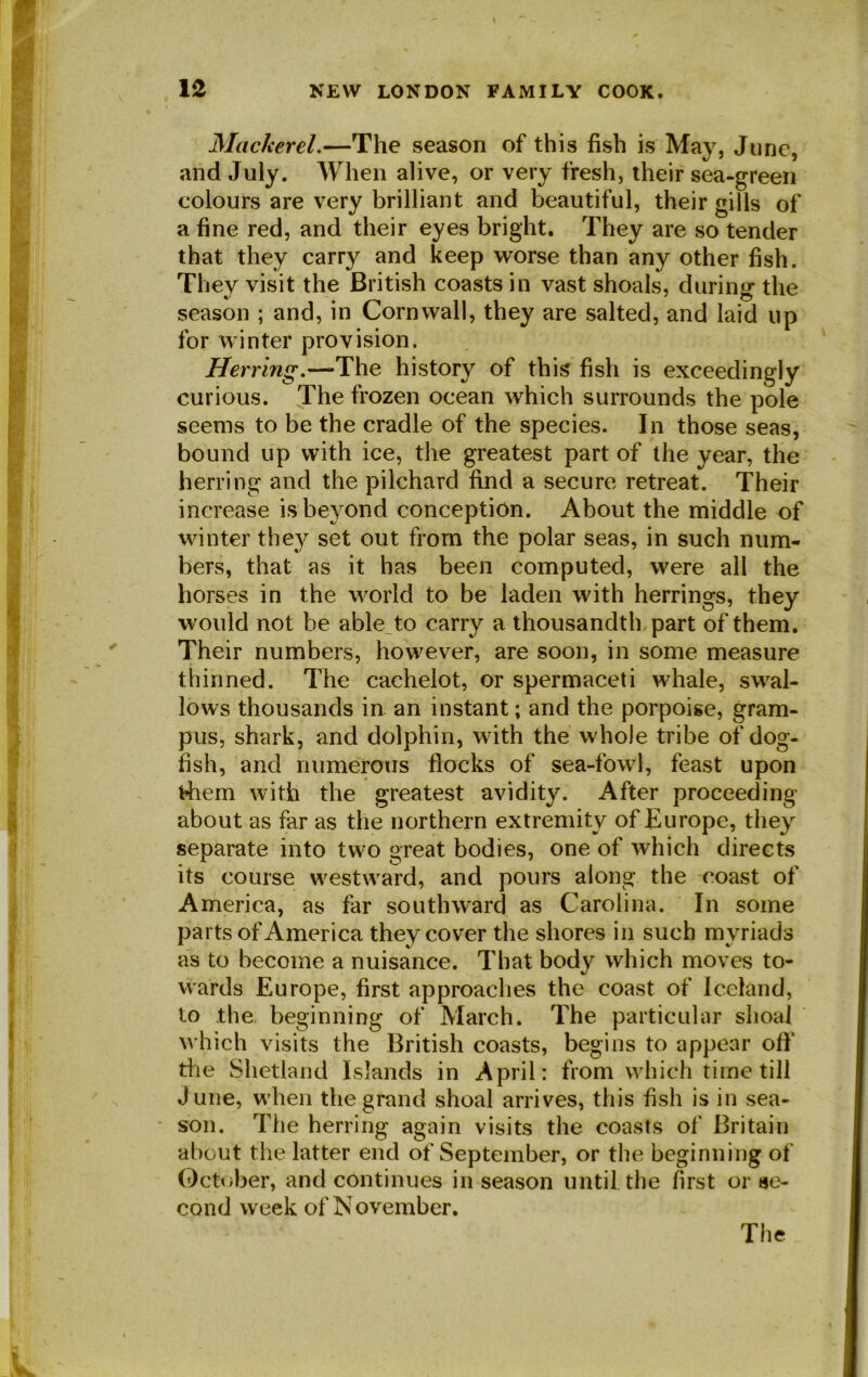 Mackerel.—The season of this fish is May, June, and July. When alive, or very fresh, their sea-green colours are very brilliant and beautiful, their gills of a fine red, and their eyes bright. They are so tender that they carry and keep worse than any other fish. They visit the British coasts in vast shoals, during* the season ; and, in Cornwall, they are salted, and laid up for winter provision. Herring.—The history of this fish is exceedingly curious. The frozen ocean which surrounds the pole seems to be the cradle of the species. In those seas, bound up with ice, the greatest part of the year, the herring and the pilchard find a secure retreat. Their increase is beyond conception. About the middle of winter they set out from the polar seas, in such num- bers, that as it has been computed, were all the horses in the world to be laden with herrings, they would not be able, to carry a thousandth part of them. Their numbers, however, are soon, in some measure thinned. The cachelot, or spermaceti whale, swal- lows thousands in an instant; and the porpoise, gram- pus, shark, and dolphin, with the whole tribe of dog- fish, and numerous flocks of sea-fowl, feast upon t*hem with the greatest avidity. After proceeding about as far as the northern extremity of Europe, they separate into two great bodies, one of which directs its course westward, and pours along the coast of America, as far southward as Carolina. In some parts of America they cover the shores in such myriads as to become a nuisance. That body which moves to- wards Europe, first approaches the coast of Iceland, to the beginning of March. The particular shoal which visits the British coasts, begins to appear ofi‘ the Shetland Islands in April: from which time till June, when the grand shoal arrives, this fish is in sea- son. The herring again visits the coasts of Britain about the latter end of September, or the beginning of October, and continues in season until the first or se- cond week of N ovember.