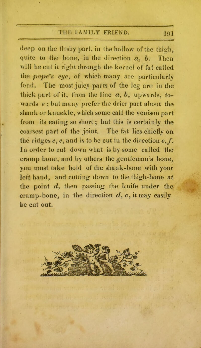 deep on the Heshy part, in the hollow of the thigh, quite to the bone, in the direction a, b. Then Mill he cut it right through the kernel of fat called the pope'’s eye, of which many are particularly fond. The most juicy parts of the leg are in the thick part of it, from the line a, b, upwards, to- wards e ; but many prefer the drier part about the shank or knuckle, which some call the venison part from its eating so short; but this is certainly the coarsest part of the joint. The fat lies chiefly on the ridges e, e, and is to be cut in the direction e, f. In order to cut down what is by some called the cramp bone, and by others the gentleman’s bone, you must take hold of the shank-bone with your left hand, and cutting down to the thigh-bone at the point d, then passing the knife under the cramp-bone, in the direction d, c, it may easily be cut out. I