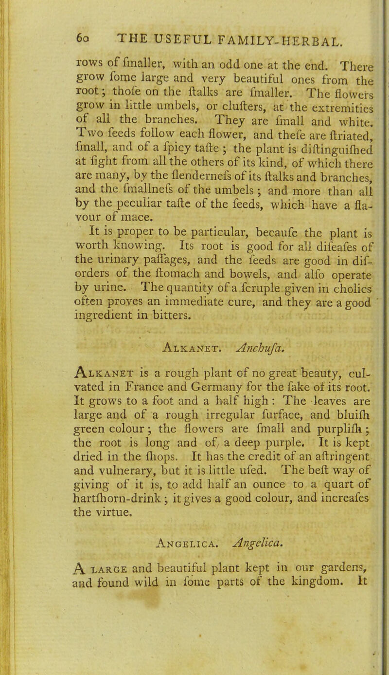 rows of fmaller, with an odd one at the end. There grow fome large and very beautiful ones from the root; thofe on the ftalks are fmaller. The flowers grow in little umbels, or clufters, at the extremities of all the branches. They are fmall and white. Two feeds follow each flower, and thefe are ftriated, fmall, and of a fpicy tafte ; the plant is diftinguiftied at fight from all the others of its kind, of which there are many, by the flendernefs of its ftalks and branches, and the fmallnefs of the umbels; and more than all by the peculiar tafte of the feeds, which have a fla- vour of mace. It is proper to be particular, becaufe the plant is worth knowing. Its root is good for all difeafes of the urinary paflages, and the feeds are good in dis- orders of the ftomach and bowels, and alfo operate by urine. The quantity of a fcruple given in cholics often proves an immediate cure, and they are a good ingredient in bitters. Alkanet. Anchufa. Alkanet is a rough plant of no great beauty, cul- vated in France and Germany for the fake of its root. It grows to a foot and a half high: The leaves are large and of a rough irregular furface, and bluilh green colour; the flowers are fmall and purplifh; the root is long and of, a deep purple. It is kept dried in the (hops. It has the credit of an aftringent and vulnerary, but it is little ufed. The beft way of giving of it is, to add half an ounce to a quart of hartfhorn-drink; it gives a good colour, and increafes the virtue. Angelica. Angelica. A large and beautiful plant kept in our gardens, and found wild in fome parts of the kingdom. It
